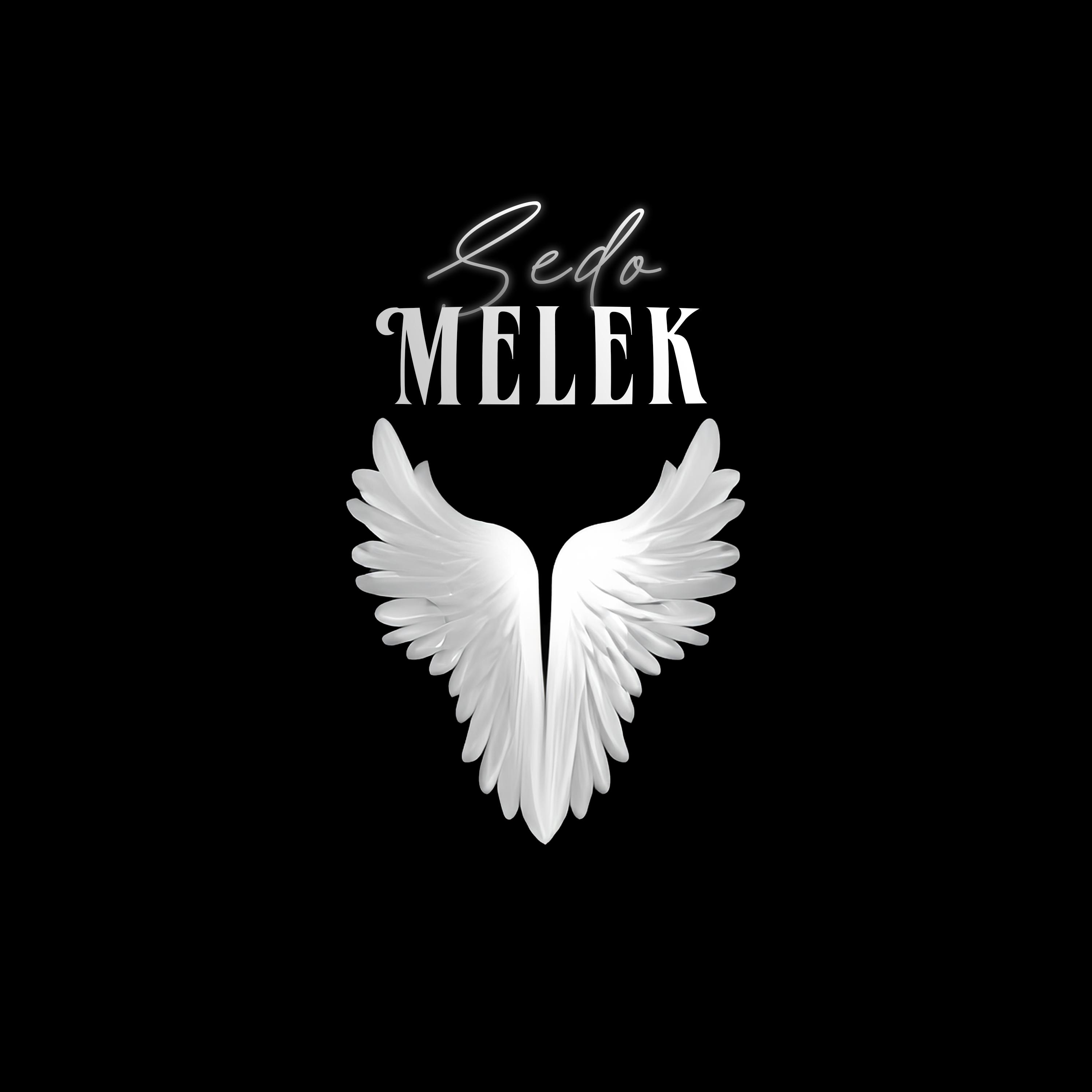 Постер альбома MELEK