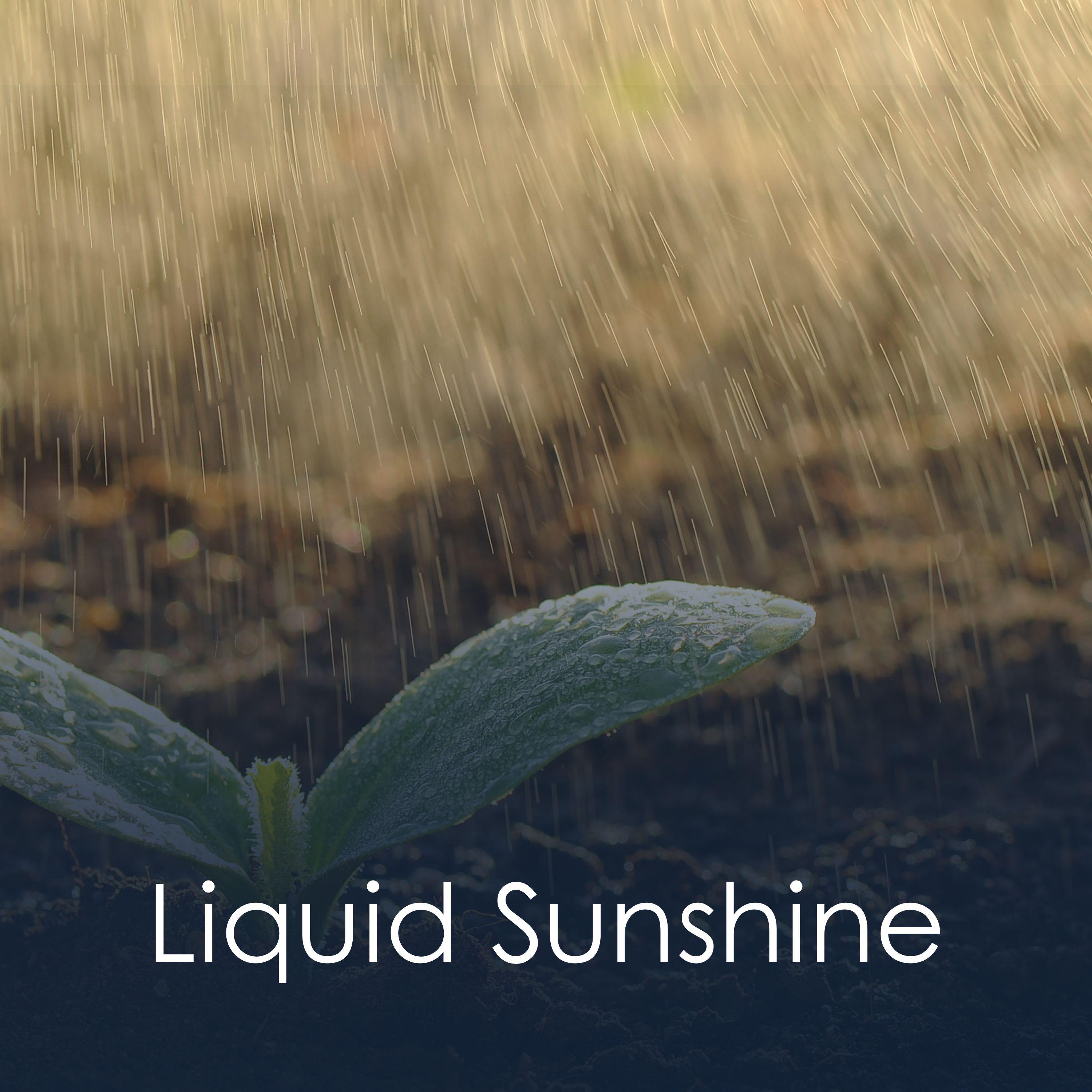 Постер альбома Liquid Sunshine