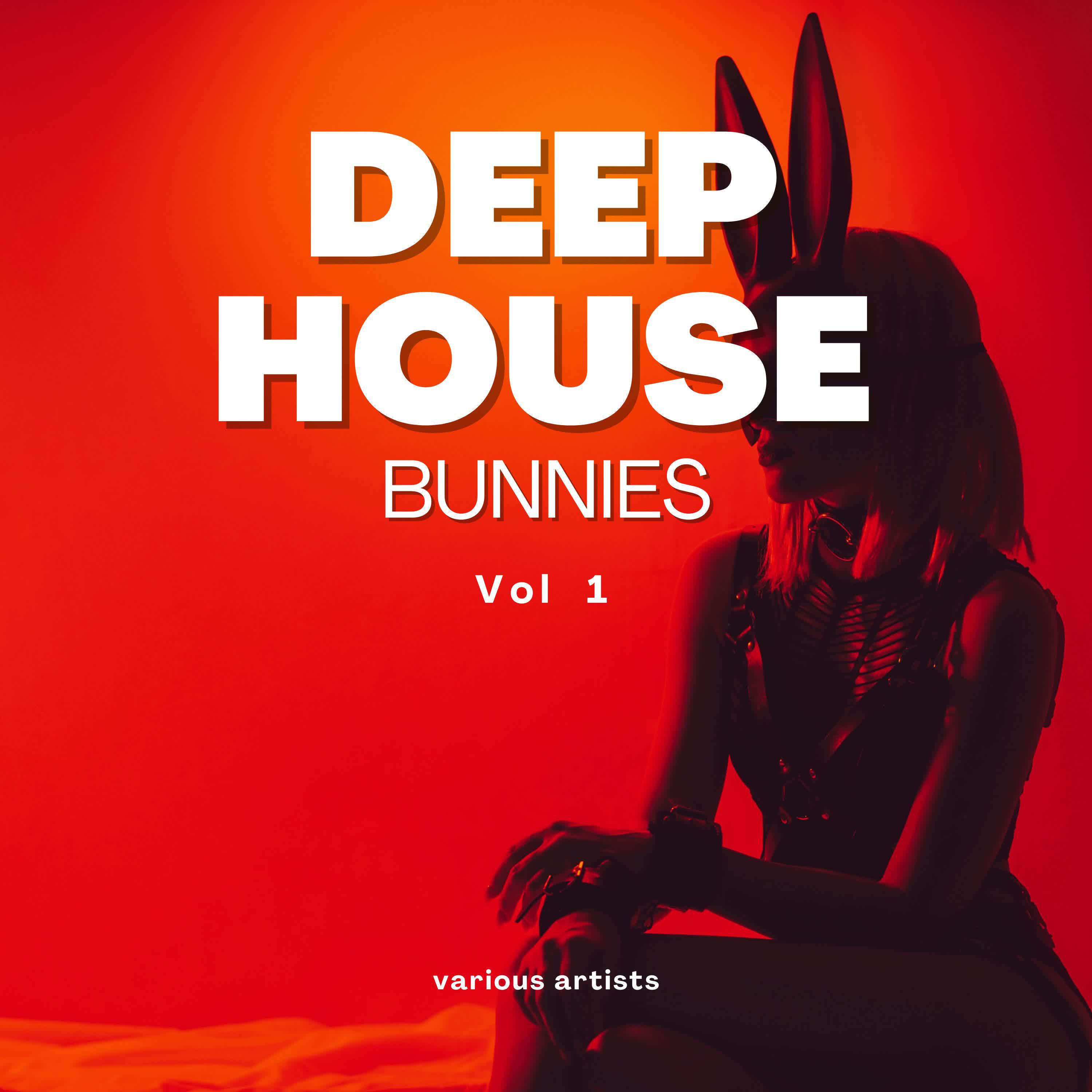 Постер альбома Deep-House Bunnies, Vol. 1