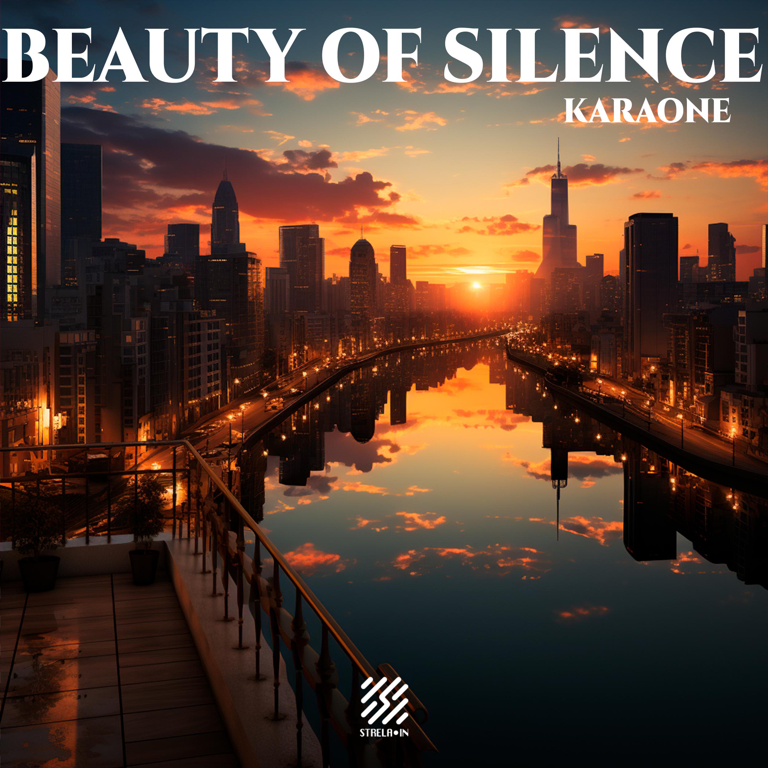 Постер альбома Beauty of Silence