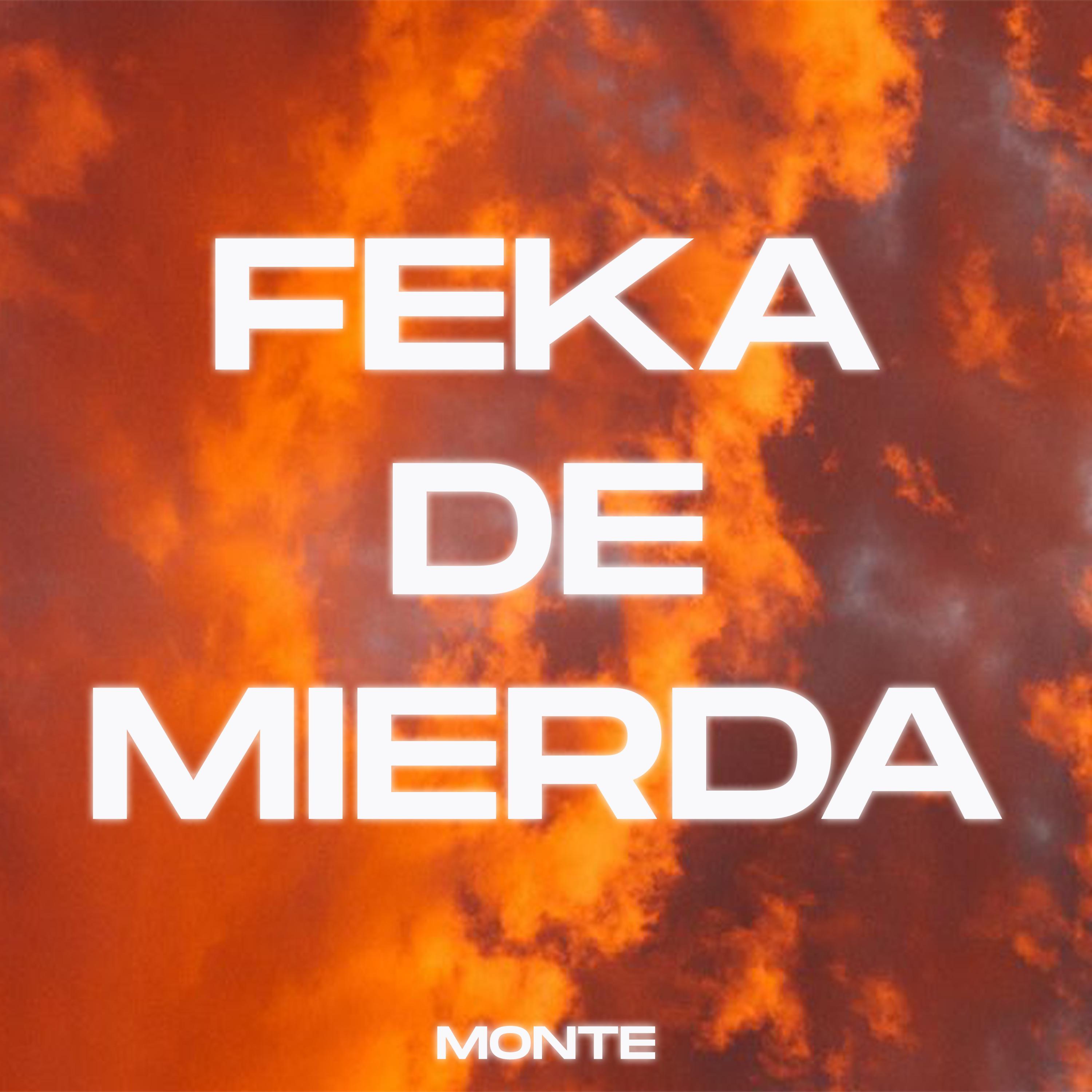 Постер альбома Feka de Mierda