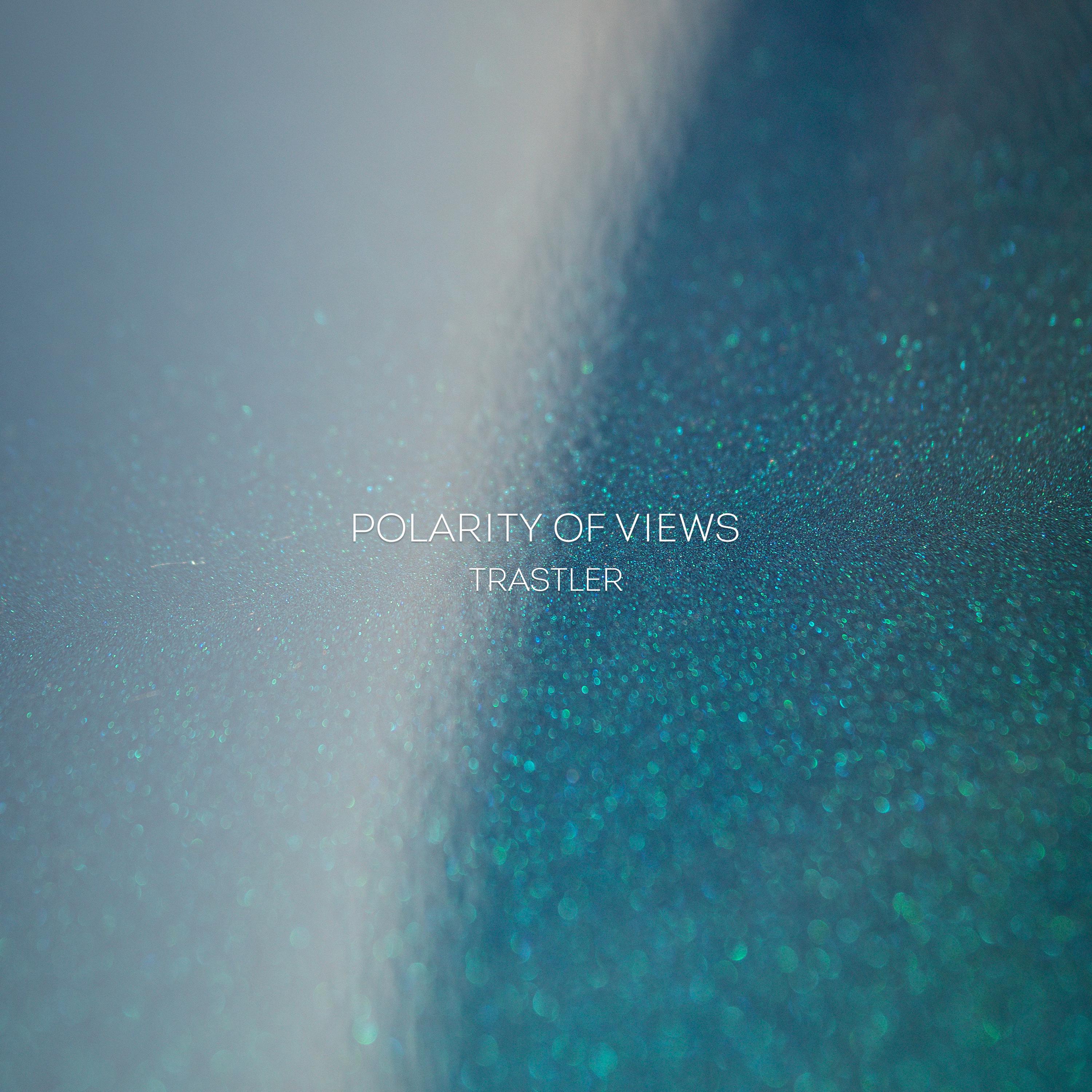 Постер альбома Polarity of Views