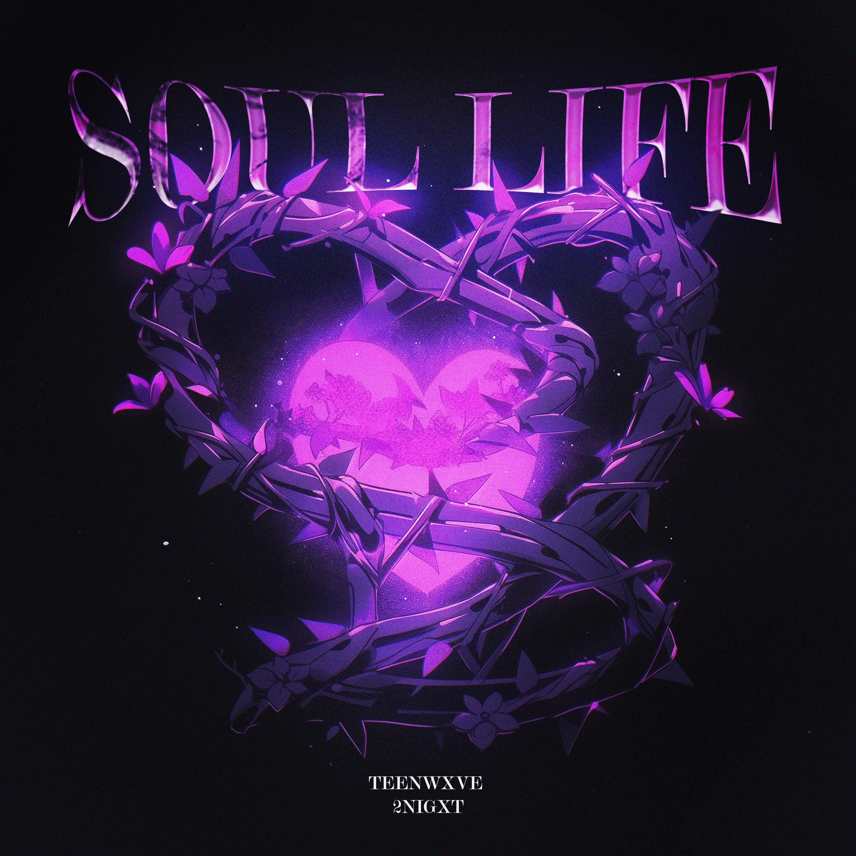 Постер альбома Soul life