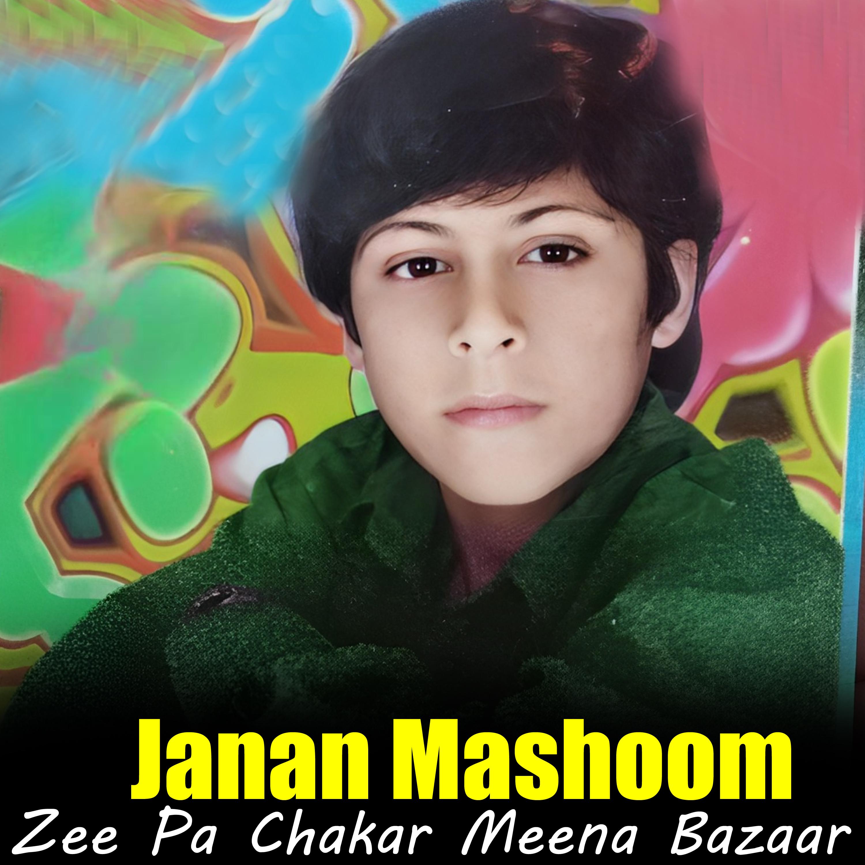 Постер альбома Zee Pa Chakar Meena Bazaar Ta