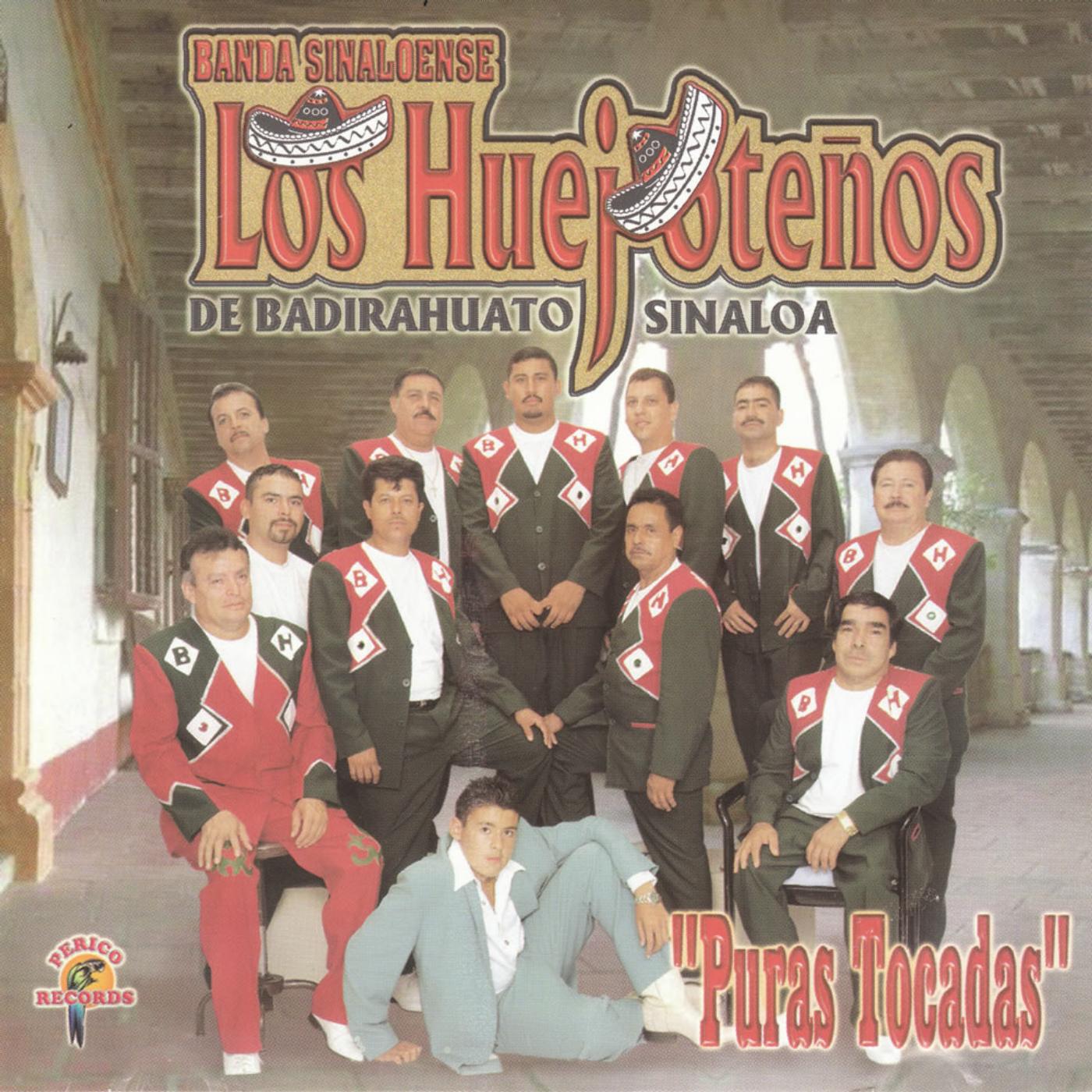 Banda Los Huejoteños - Nacho Telles