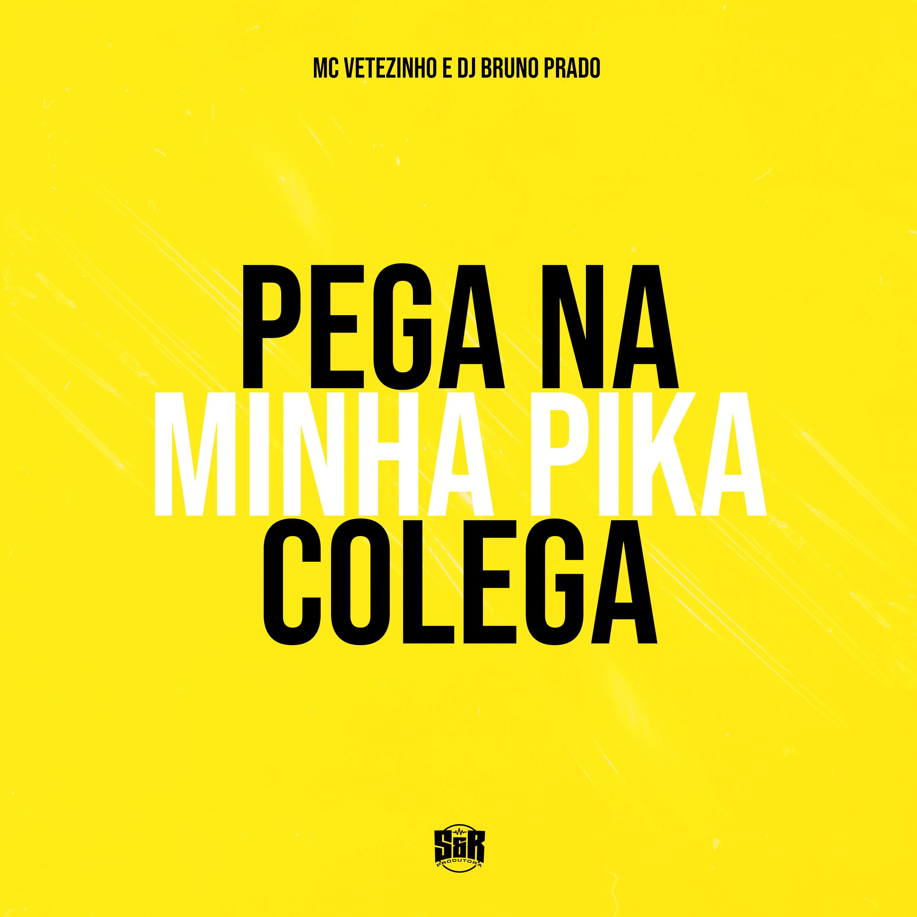 Постер альбома Pega na Minha Pika Colega