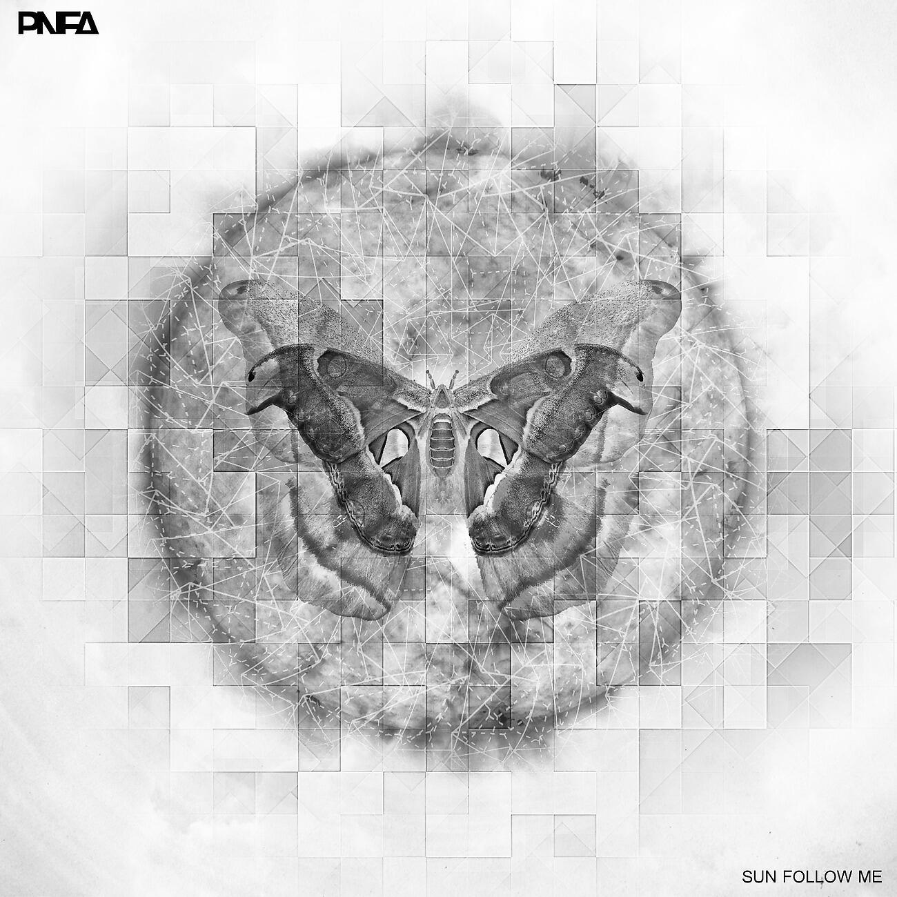 PNFA - Treetop