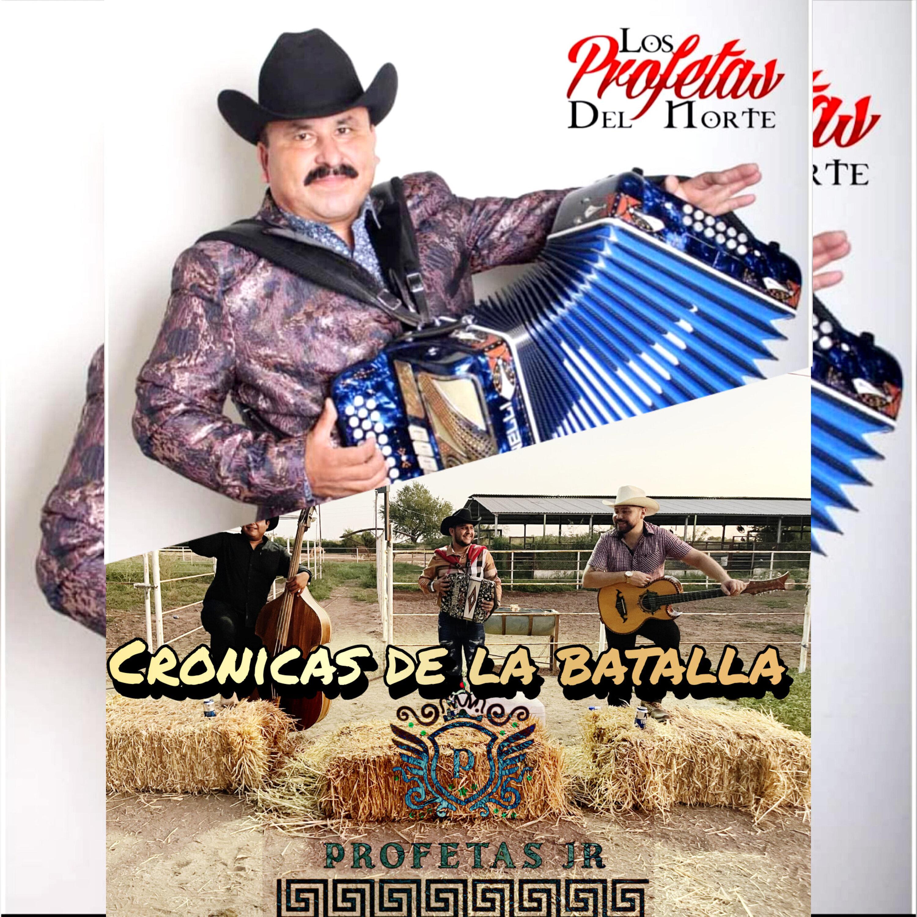 Постер альбома Crónicas de la Batalla