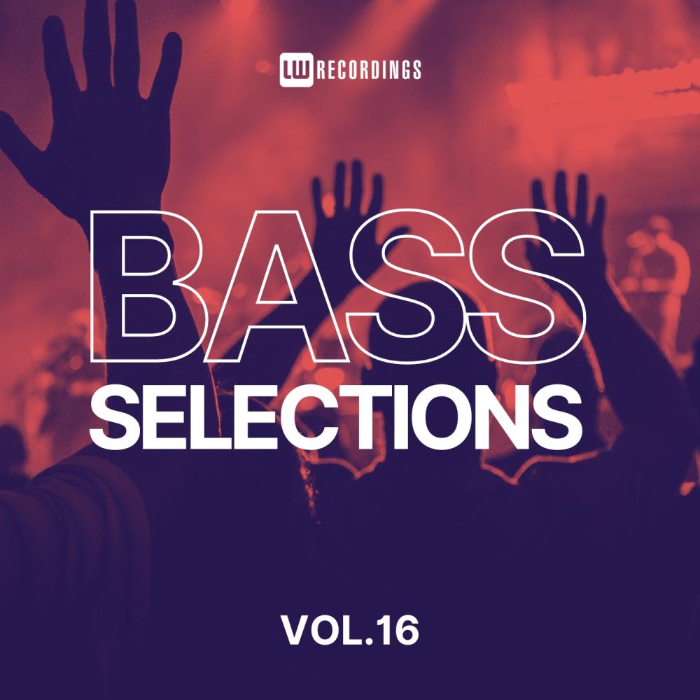 Постер альбома Bass Selections, Vol. 16