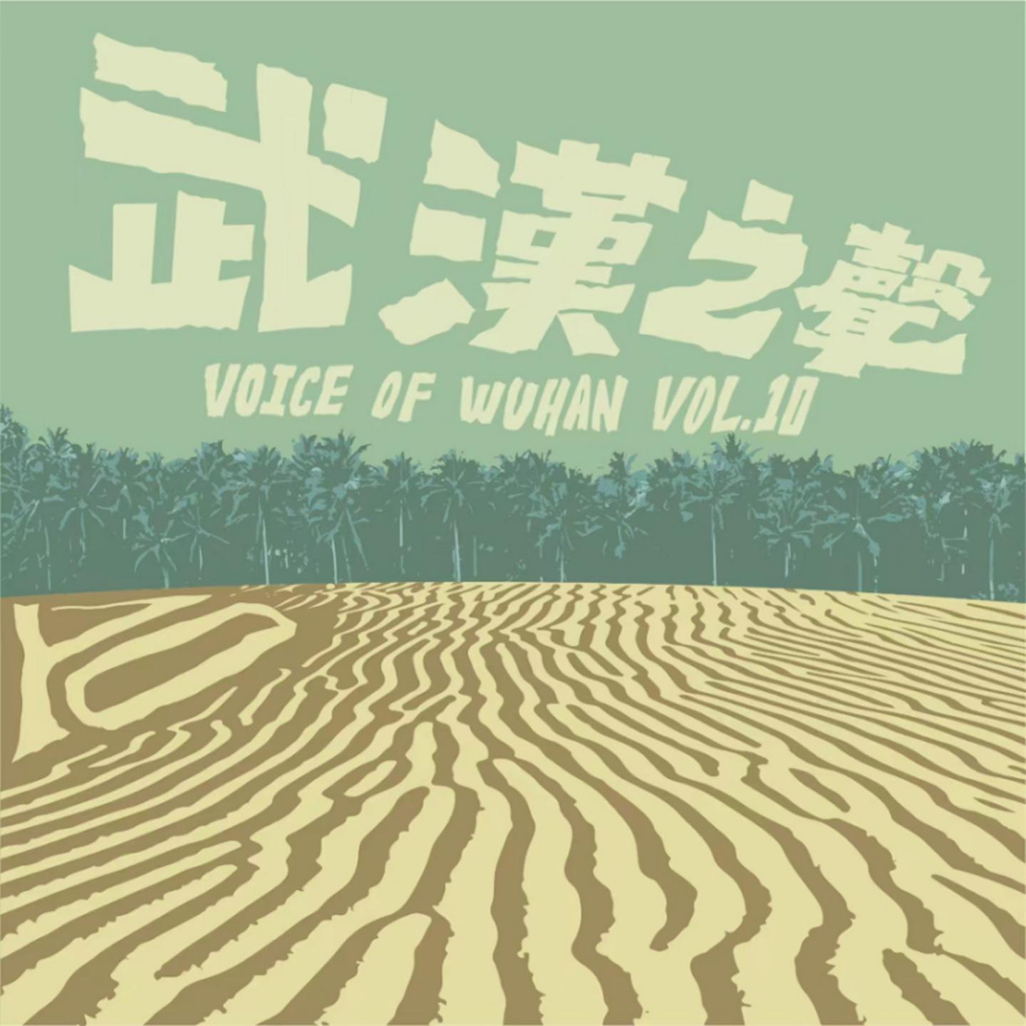 Постер альбома 武汉之声Vol.10