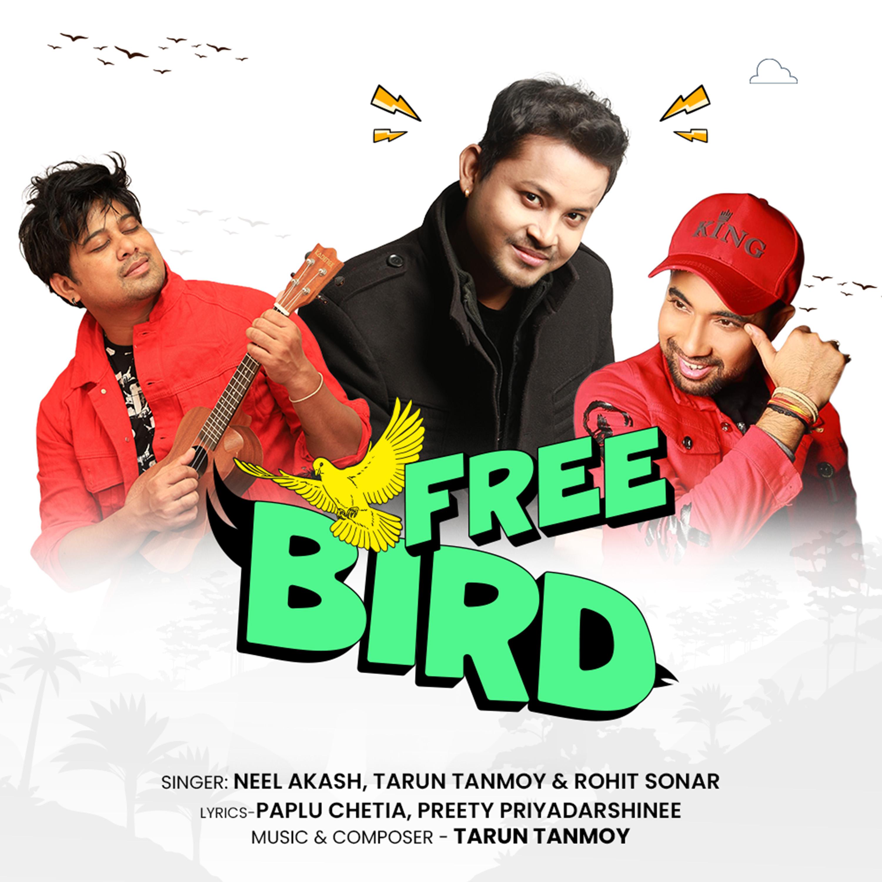 Постер альбома Free Bird Music Festival Theme Song