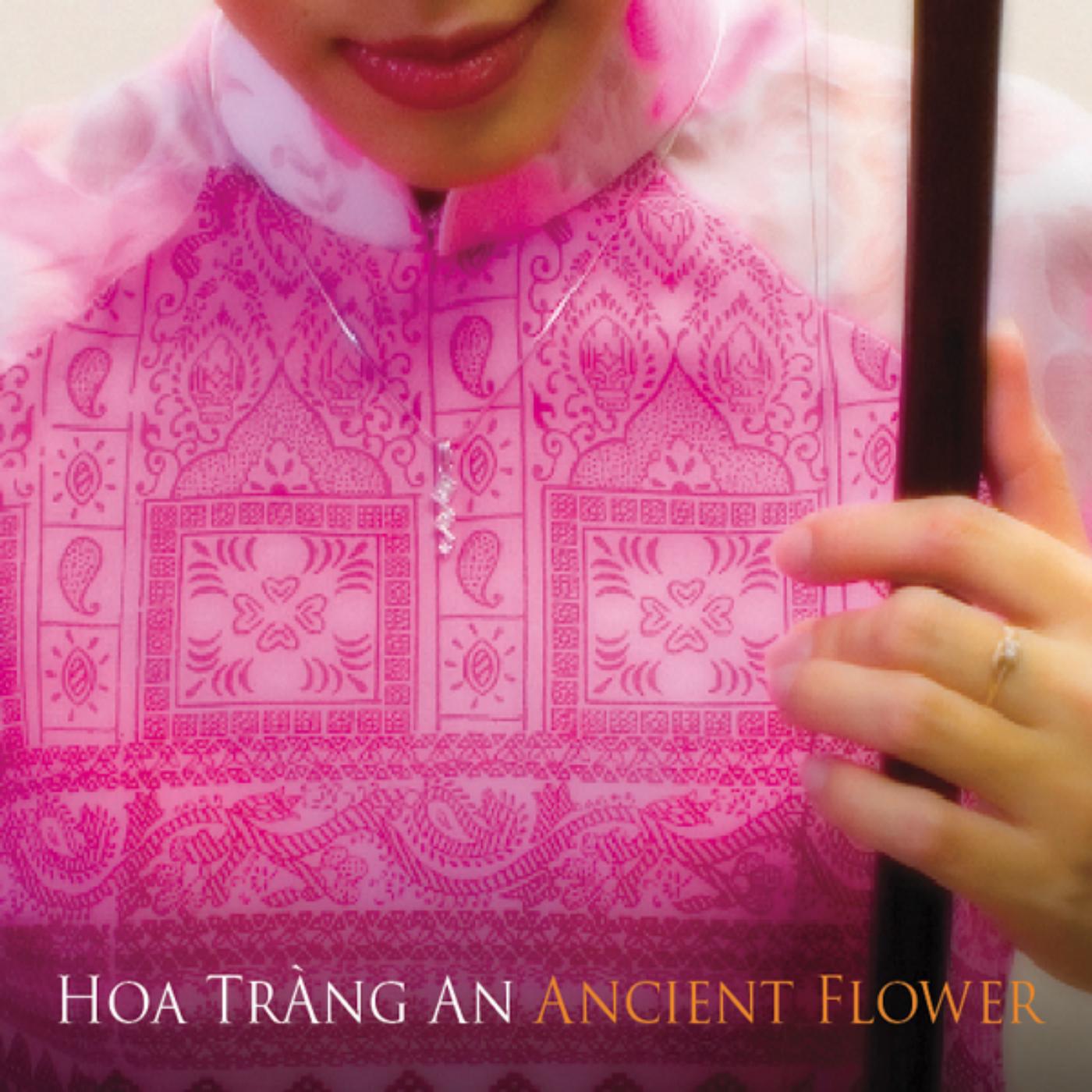 Hoa Trang An - Cotton Tree [with Nguyen Ngoc Khanh]