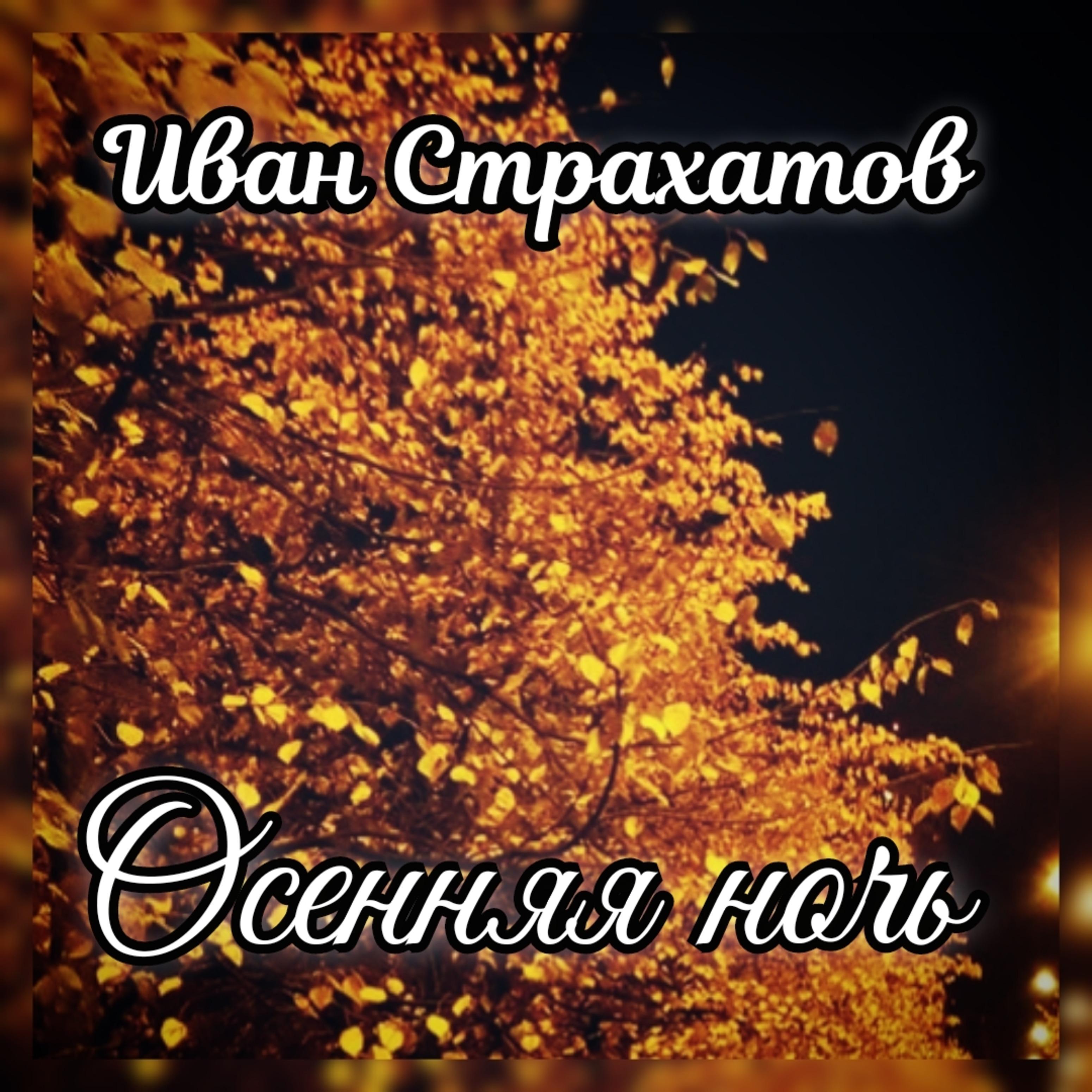 Постер альбома Осенняя ночь