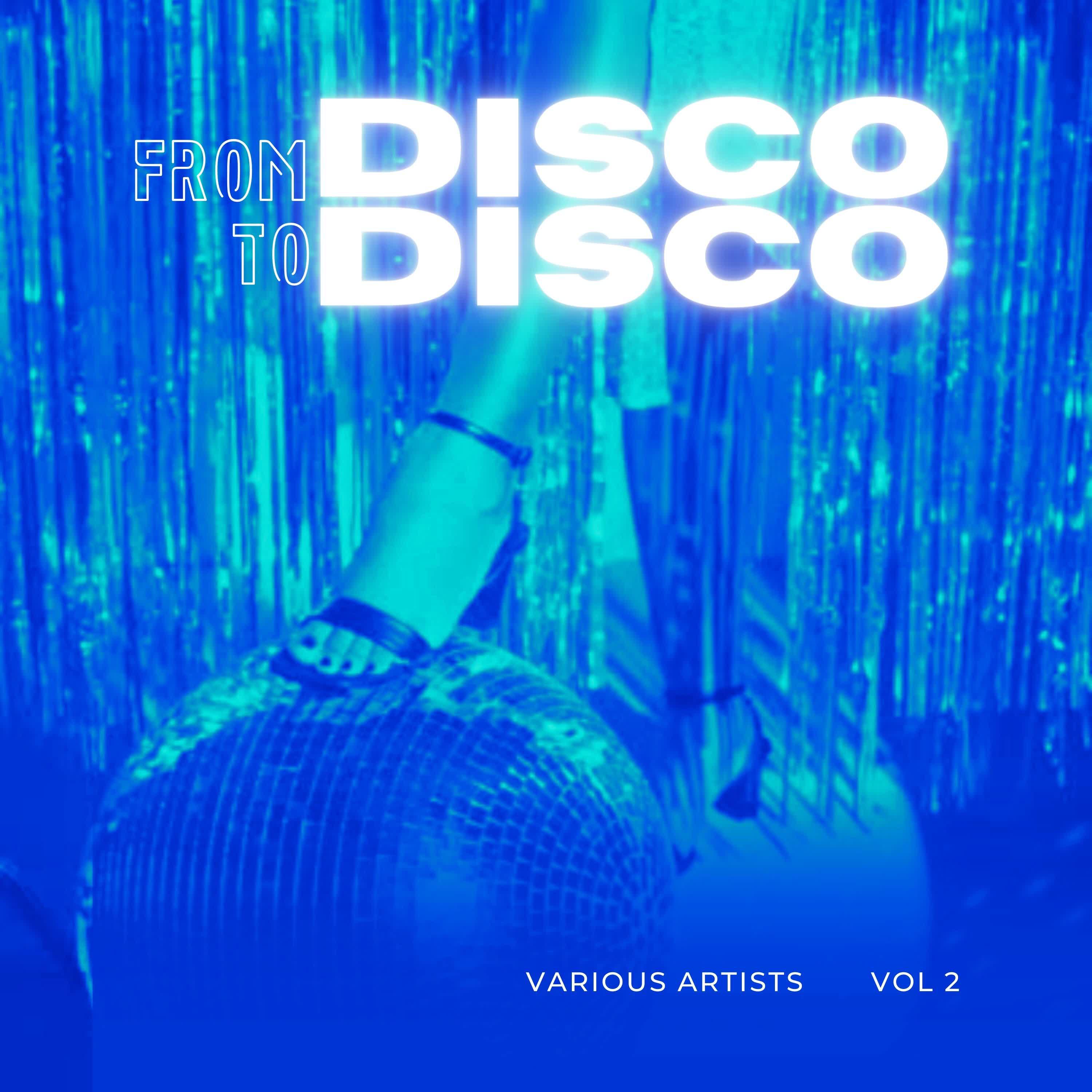 Постер альбома From Disco To Disco, Vol. 2