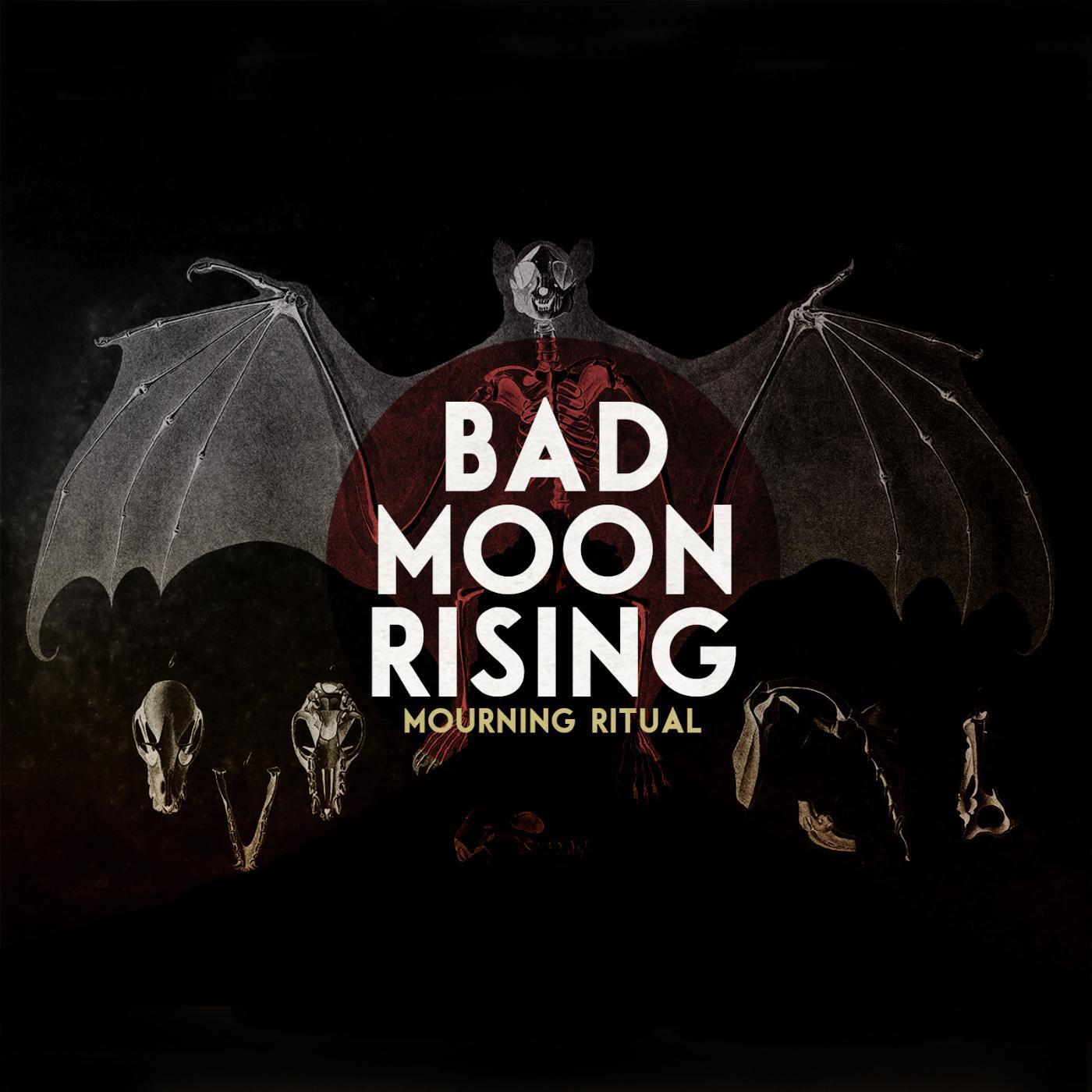 Постер альбома Bad Moon Rising (Cover) [feat. Peter Dreimanis]