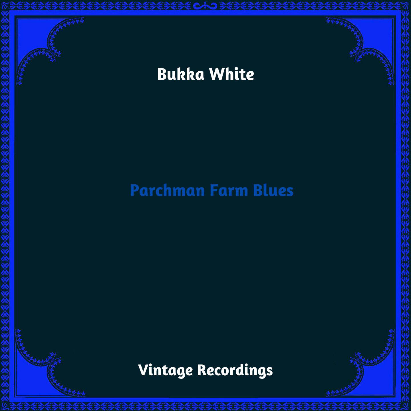 Постер альбома Parchman Farm Blues