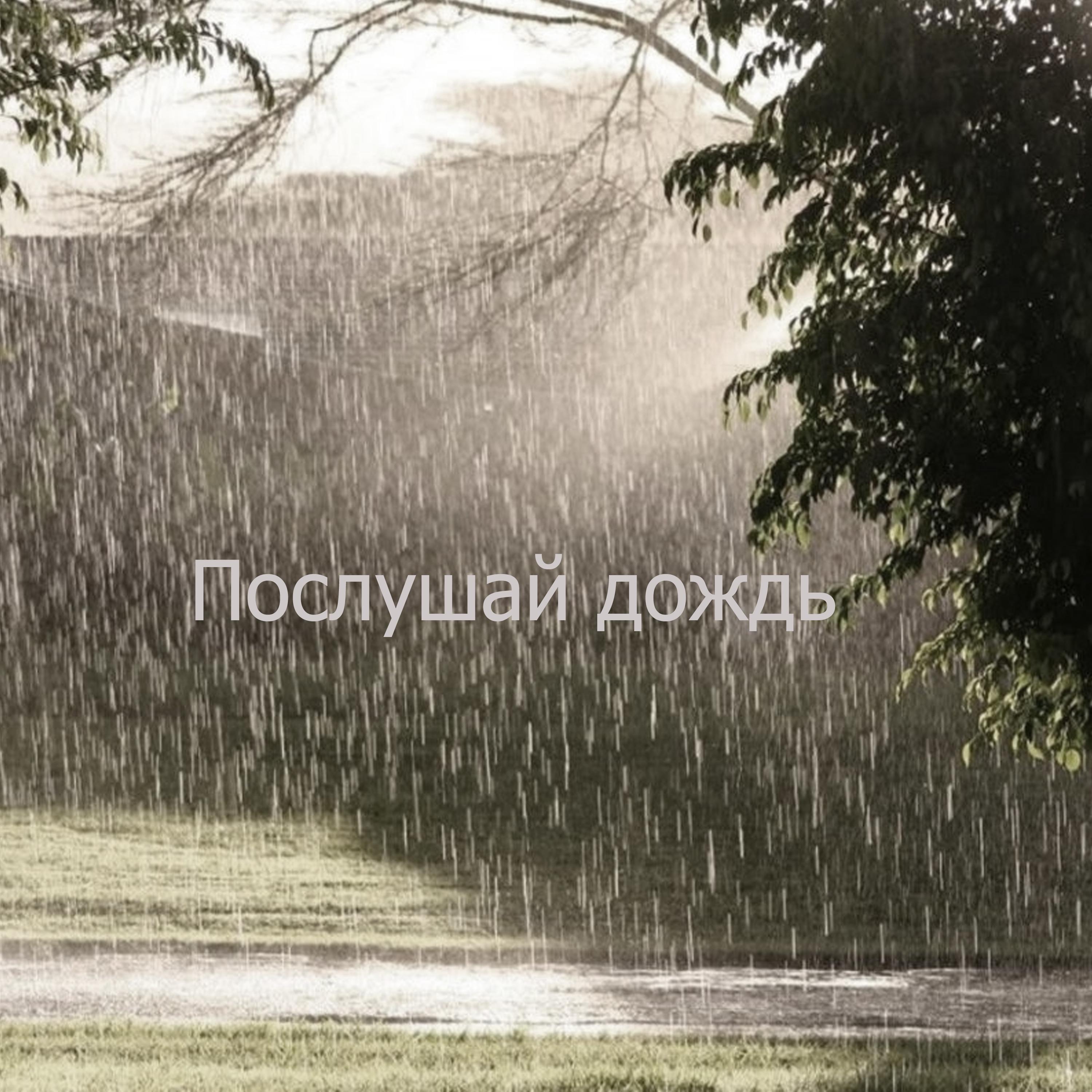 Постер альбома Послушай дождь