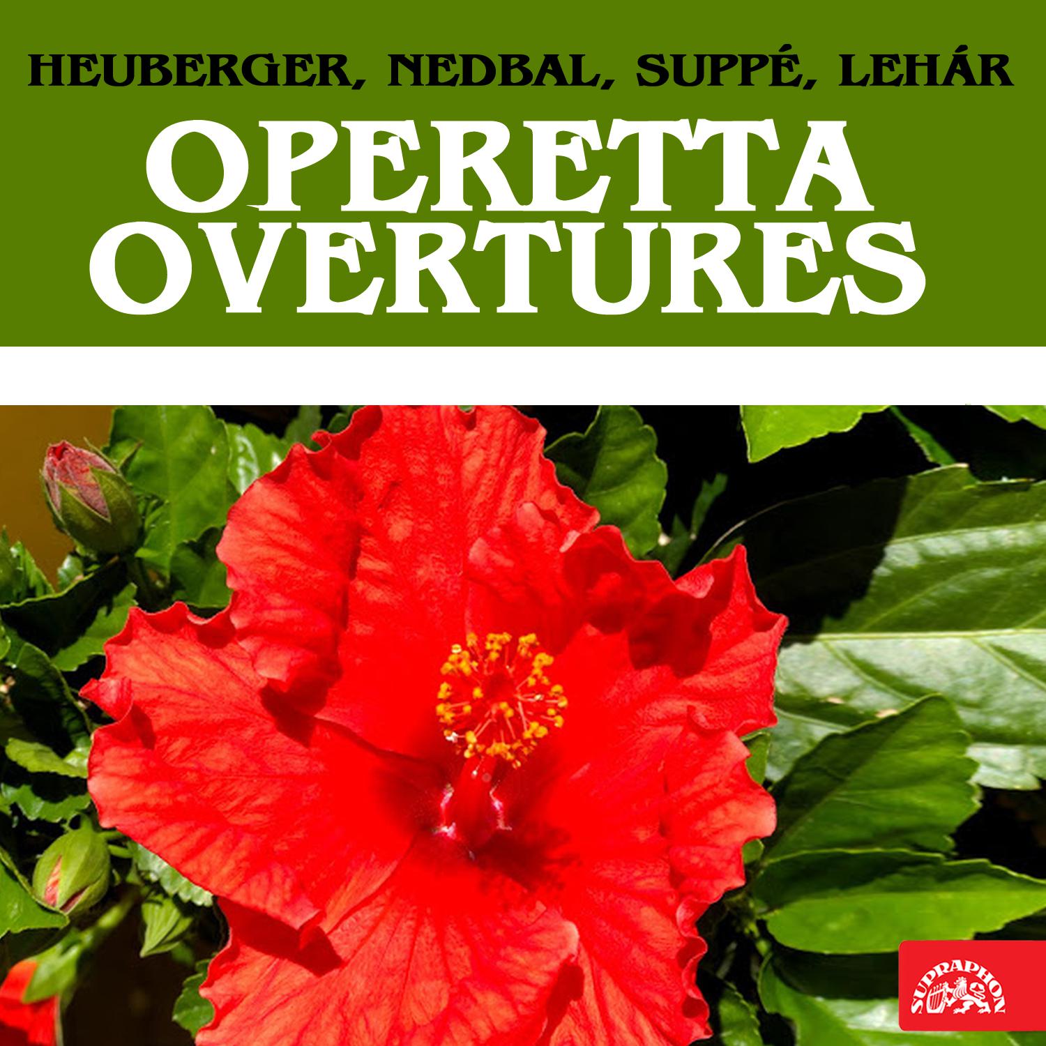 Постер альбома Heuberger, Lehár, Nedbal & Suppé: Operetta Overtures