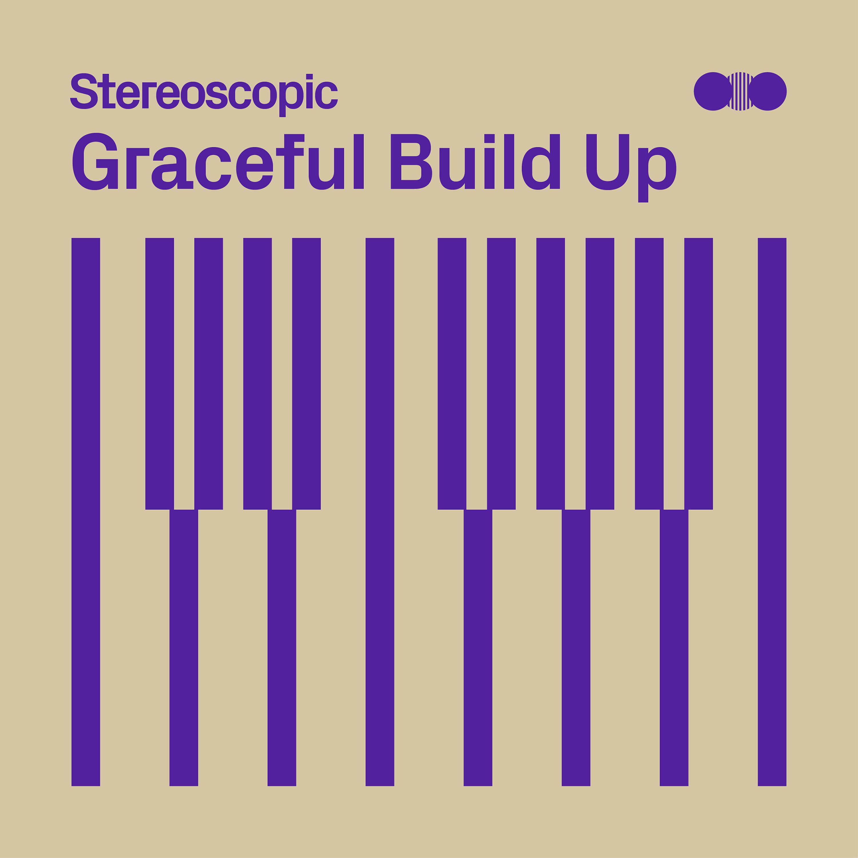 Постер альбома Graceful Build Up