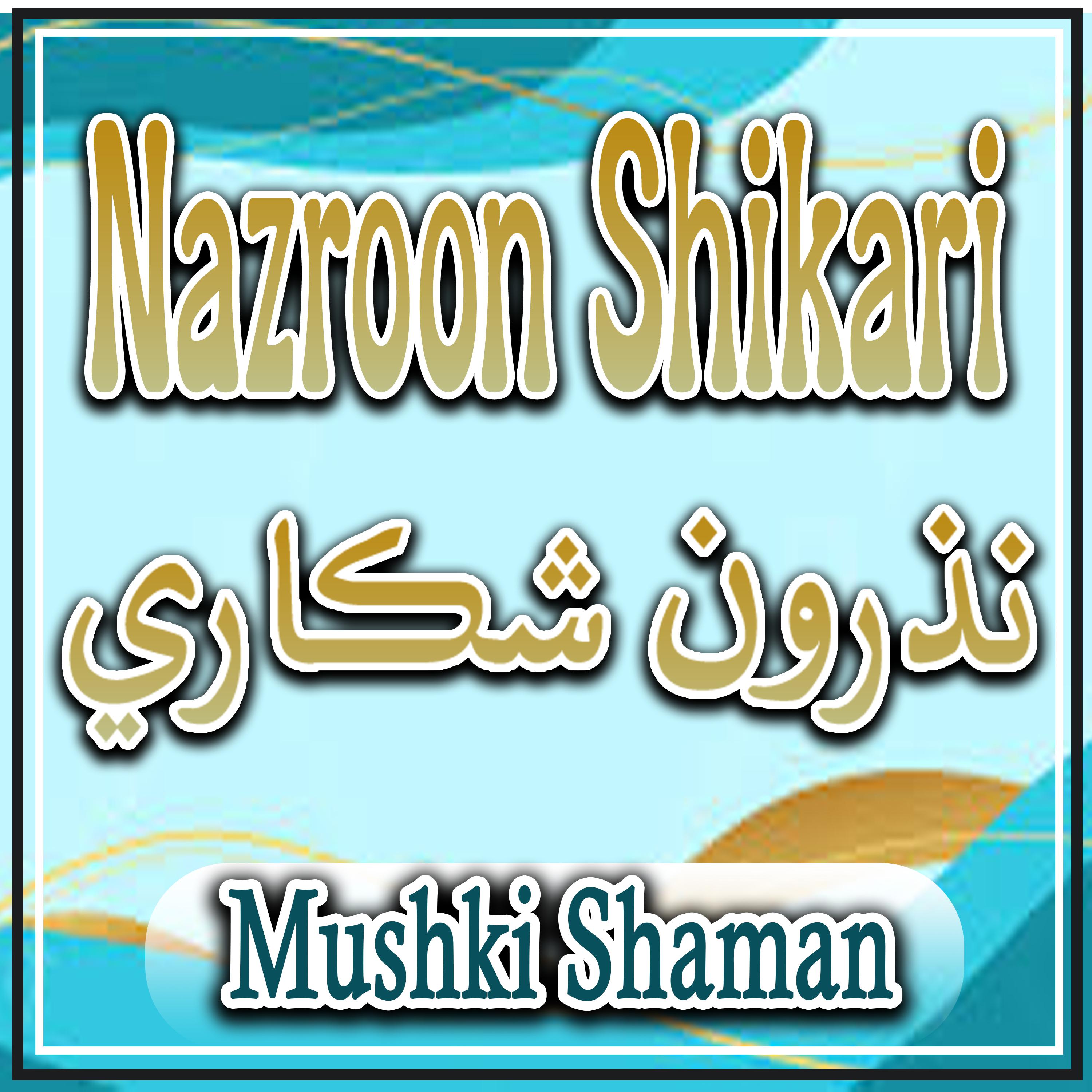 Постер альбома Nazroon Shikari