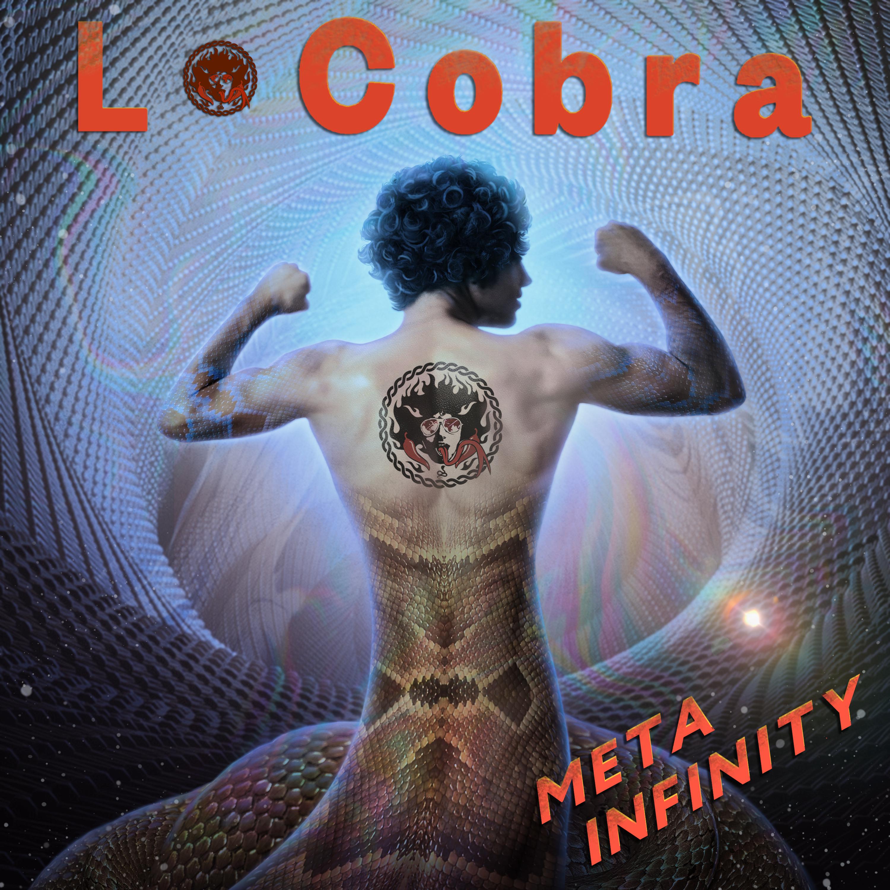 Постер альбома Meta Infinity