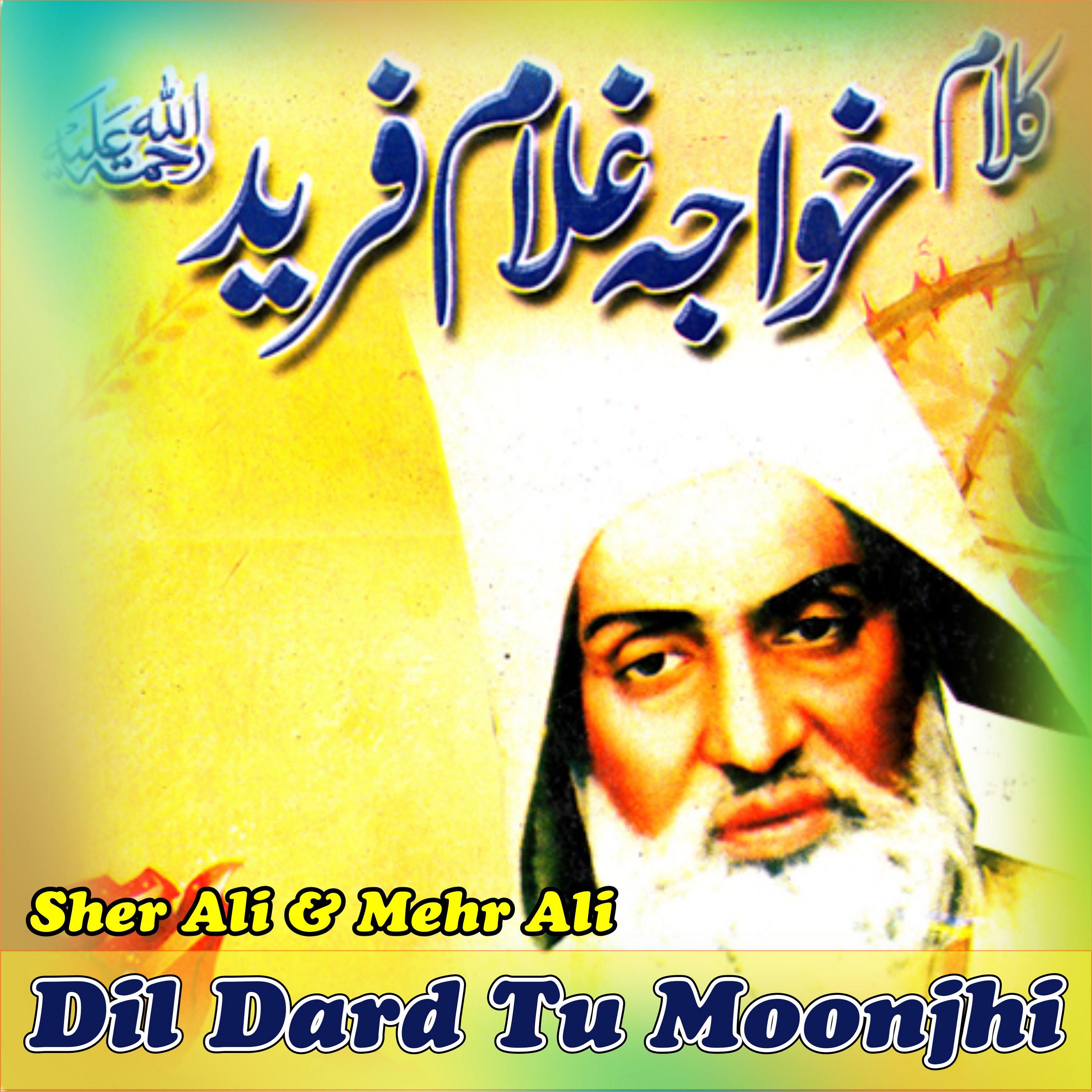 Постер альбома Dil Dard Tu Moonjhi