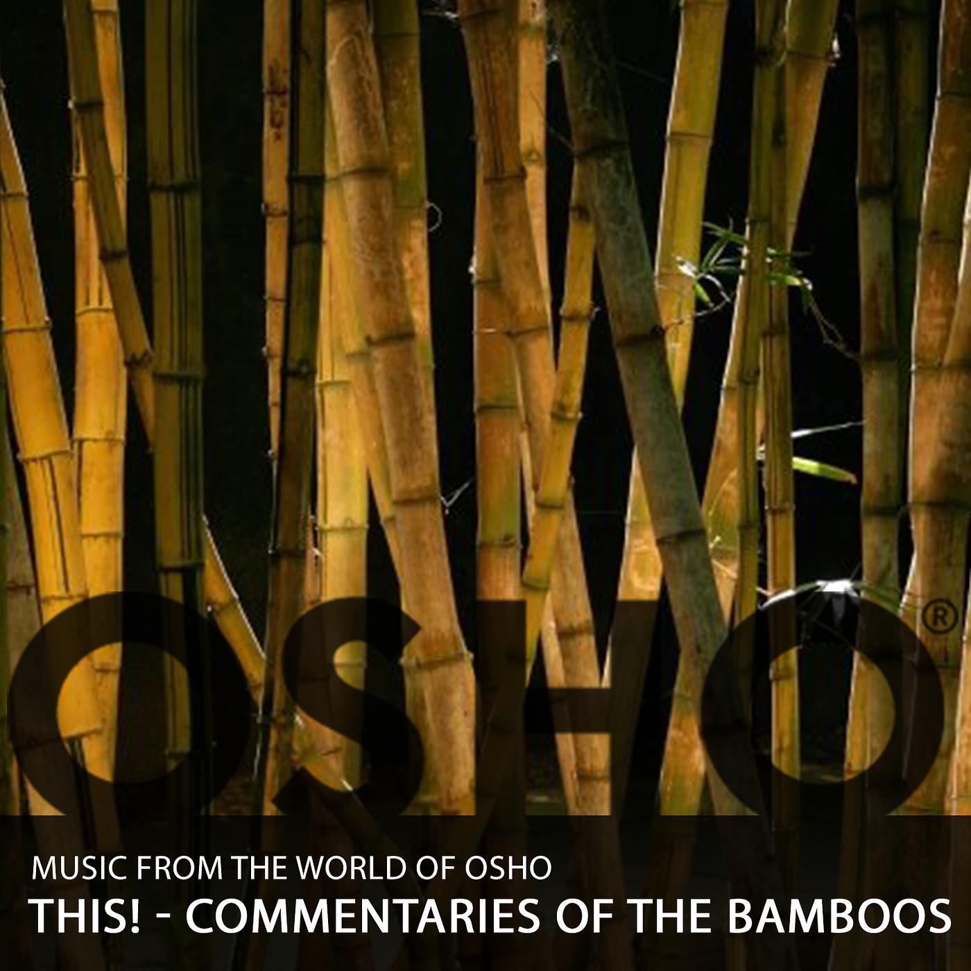 Постер альбома This! - Commentaries of the Bamboos