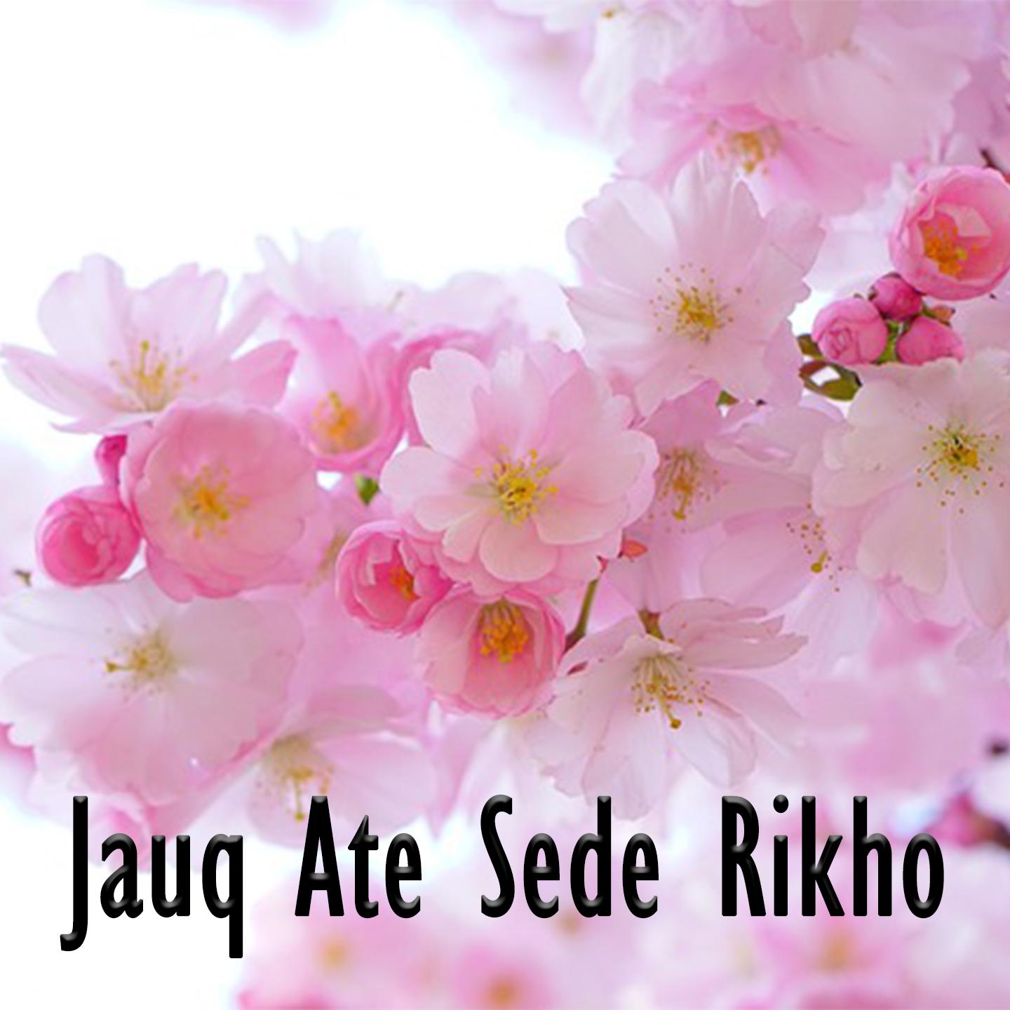 Постер альбома Jauq Ate Sede Rikho