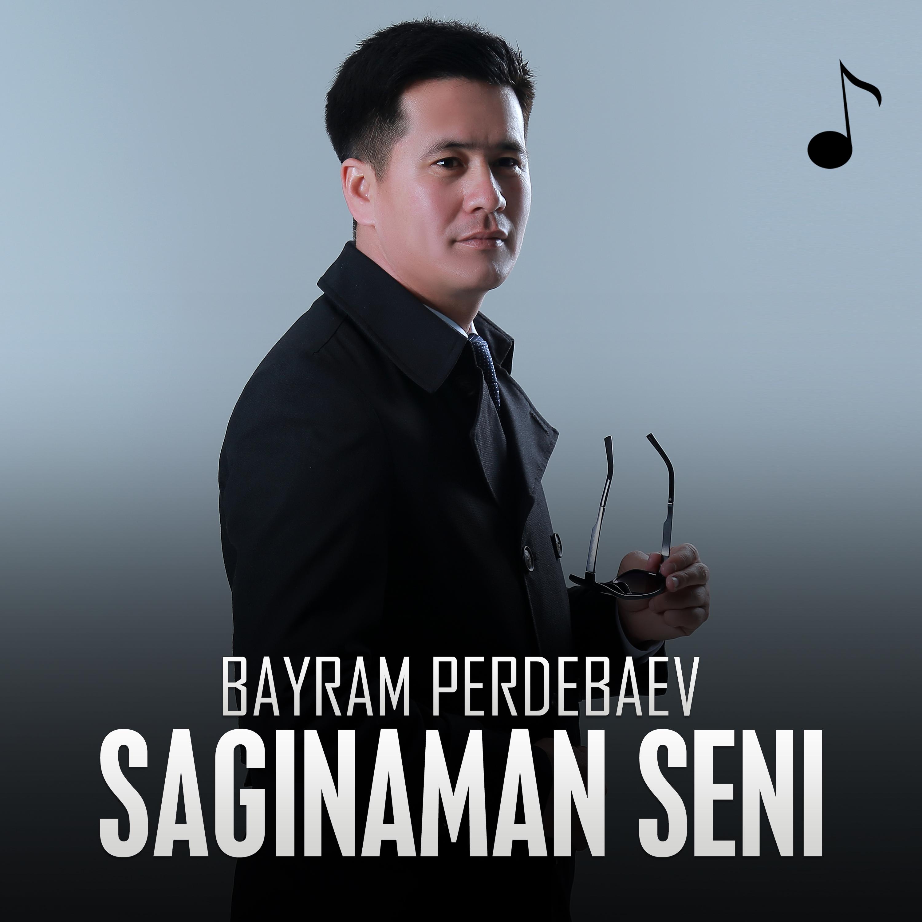 Постер альбома Saginaman seni
