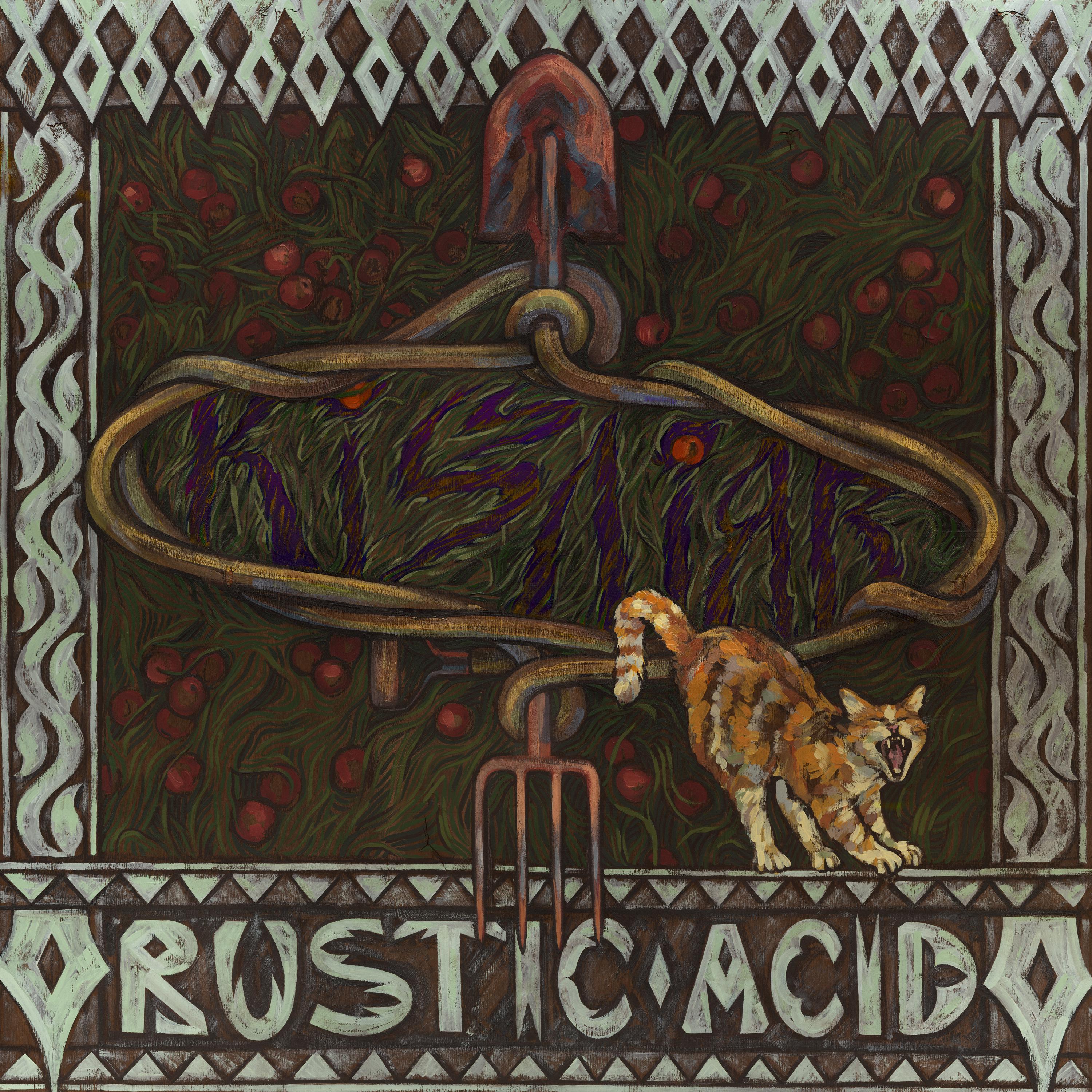 Постер альбома Rustic Acid