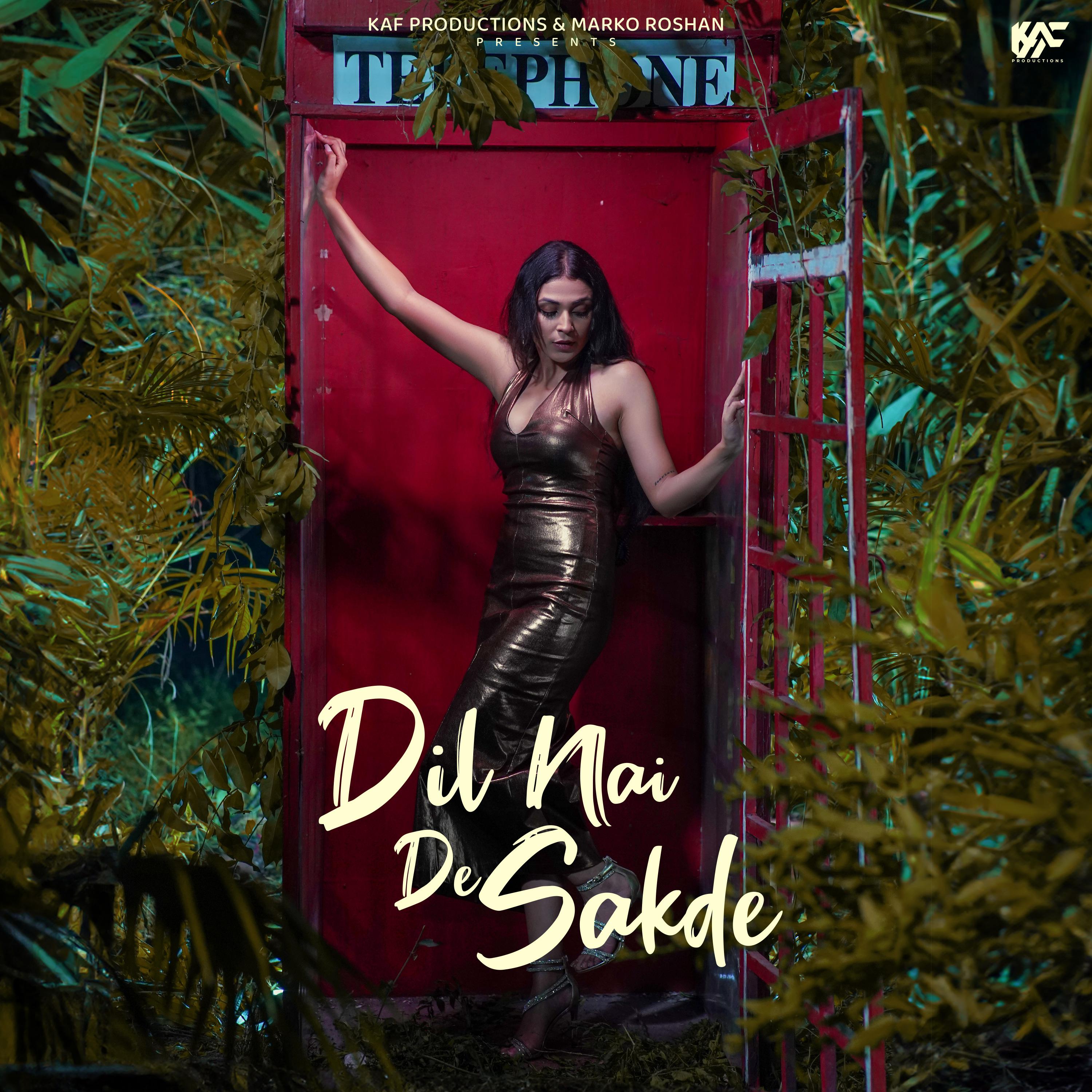 Постер альбома Dil Nai De Sakde