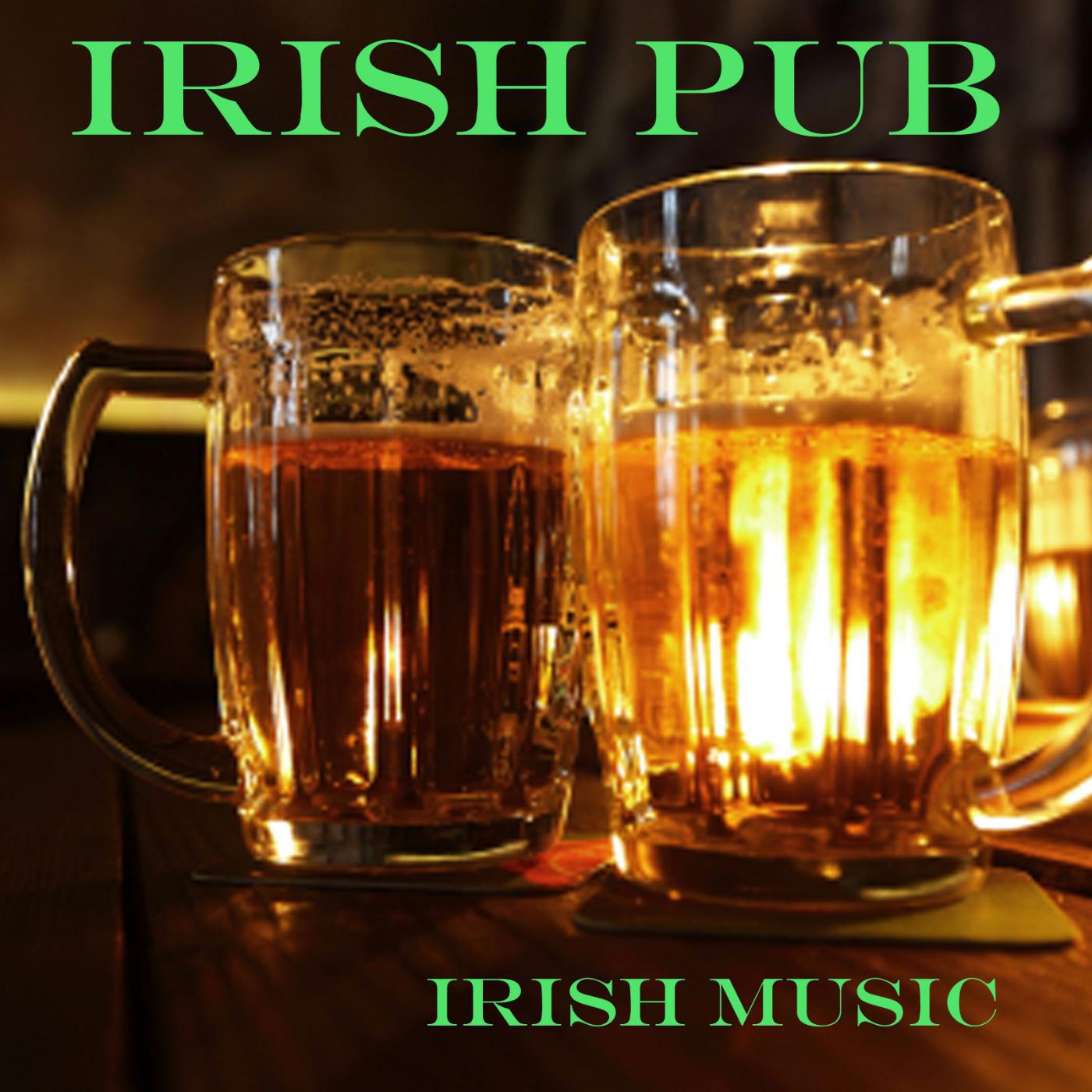 Постер альбома Best Irish Pub Songs - Irish Party Music