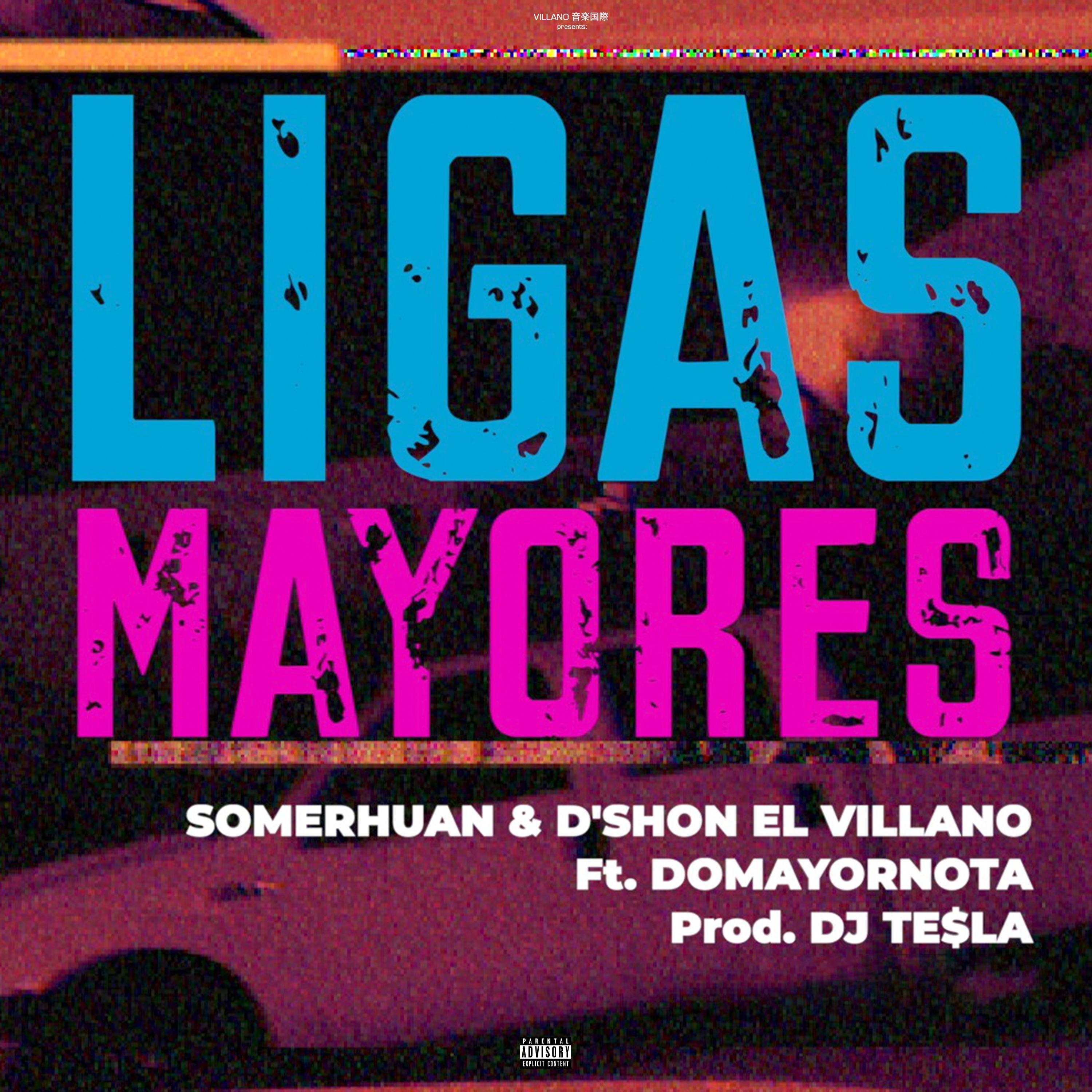 Постер альбома Ligas Mayores (feat. Domayornota)