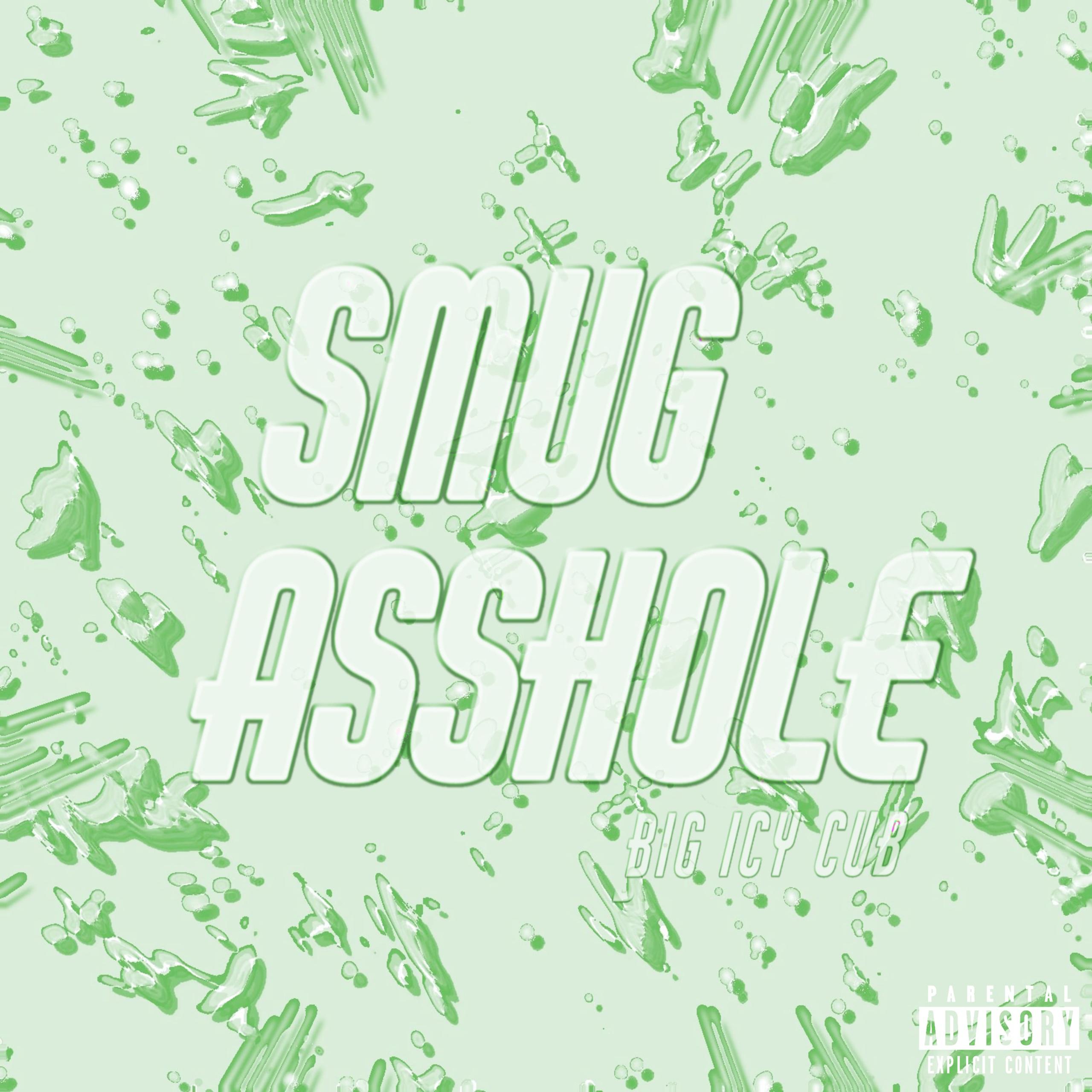 Постер альбома smug asshole