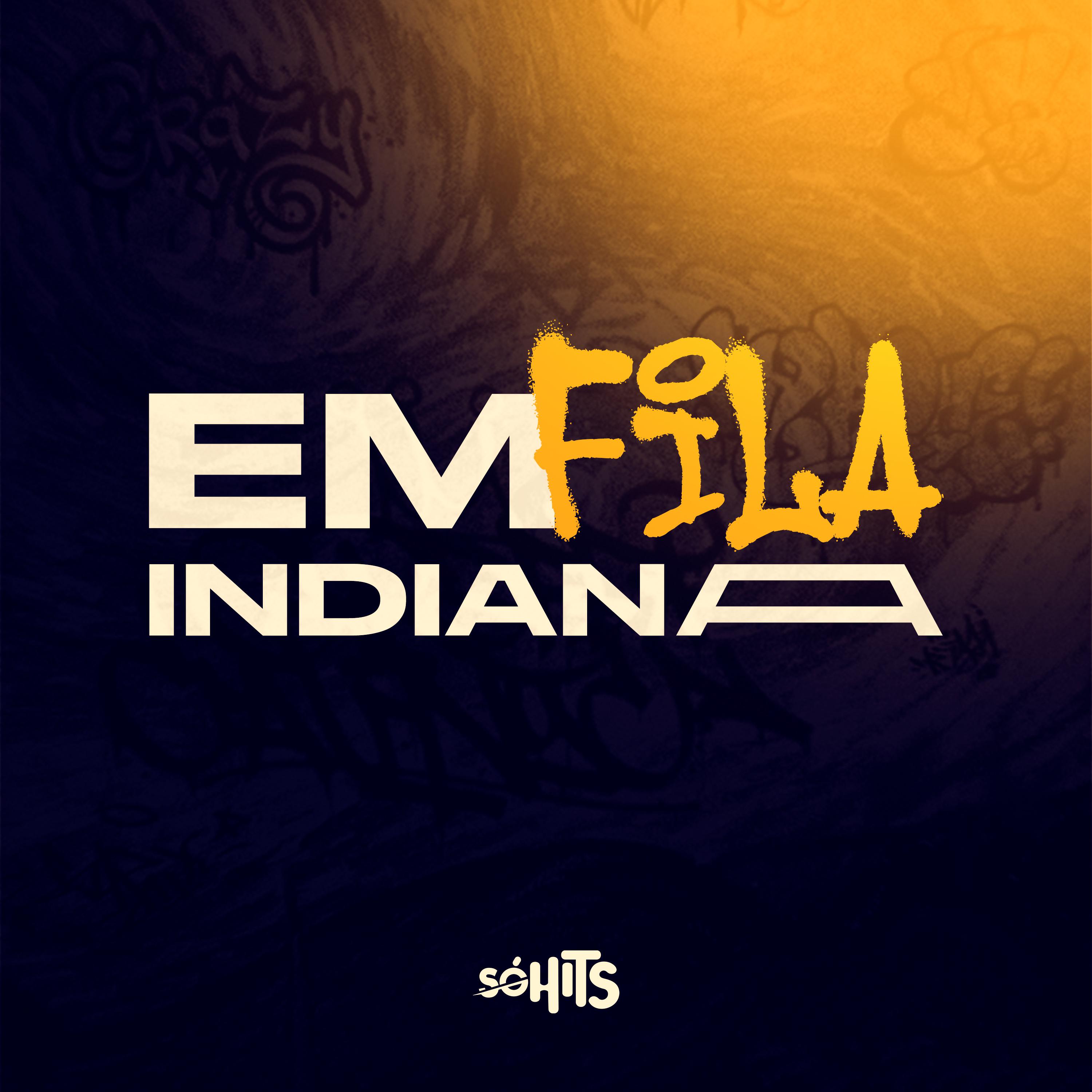 Постер альбома Em Fila Indiana