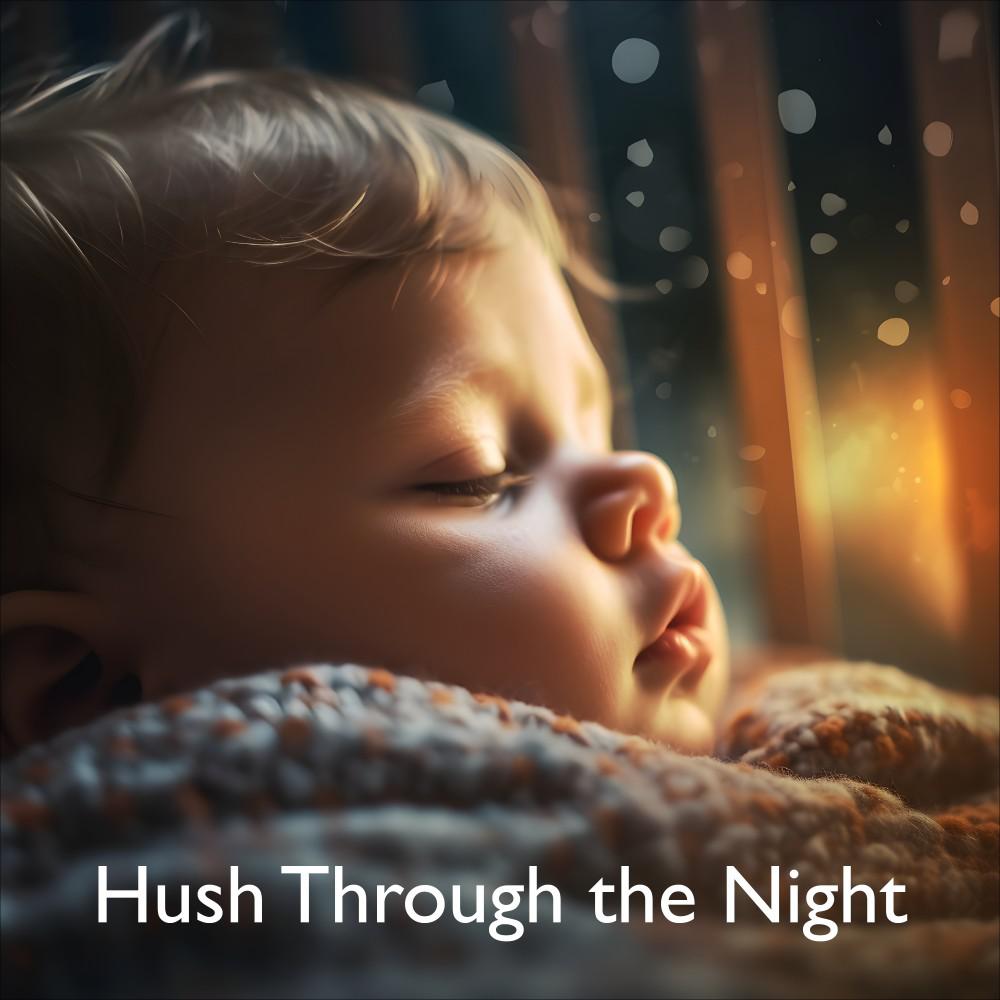 Постер альбома Hush Through the Night