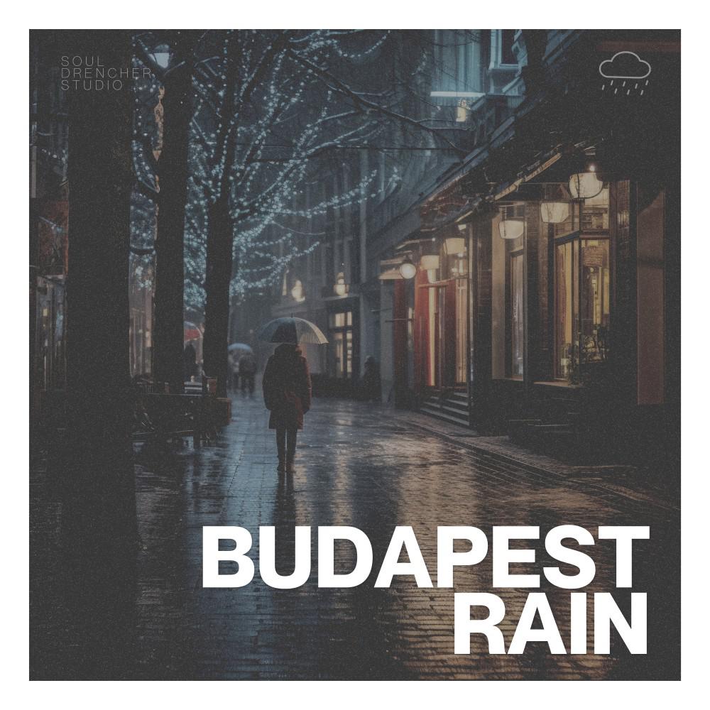 Постер альбома Budapest Rain