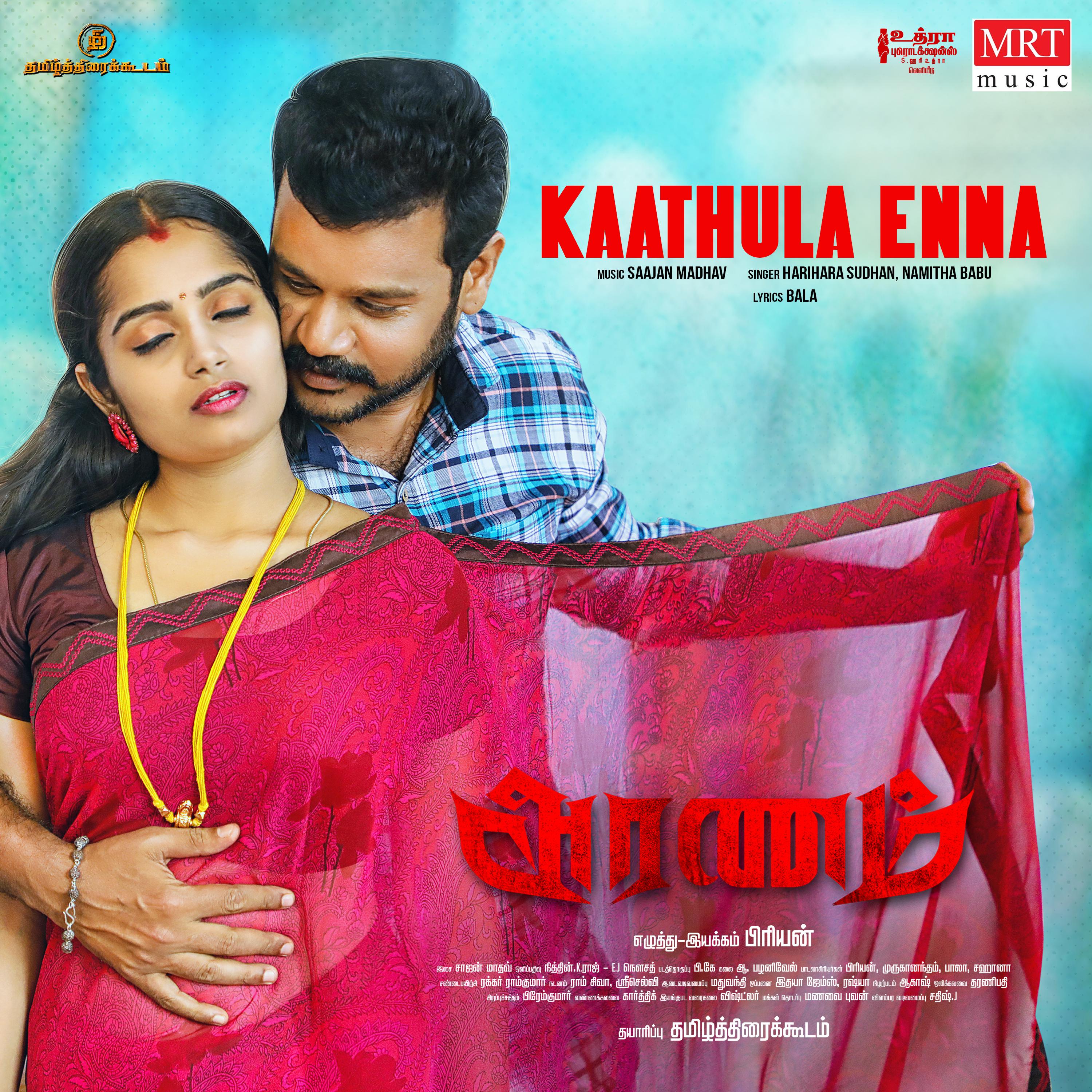 Постер альбома Kaathula Enna