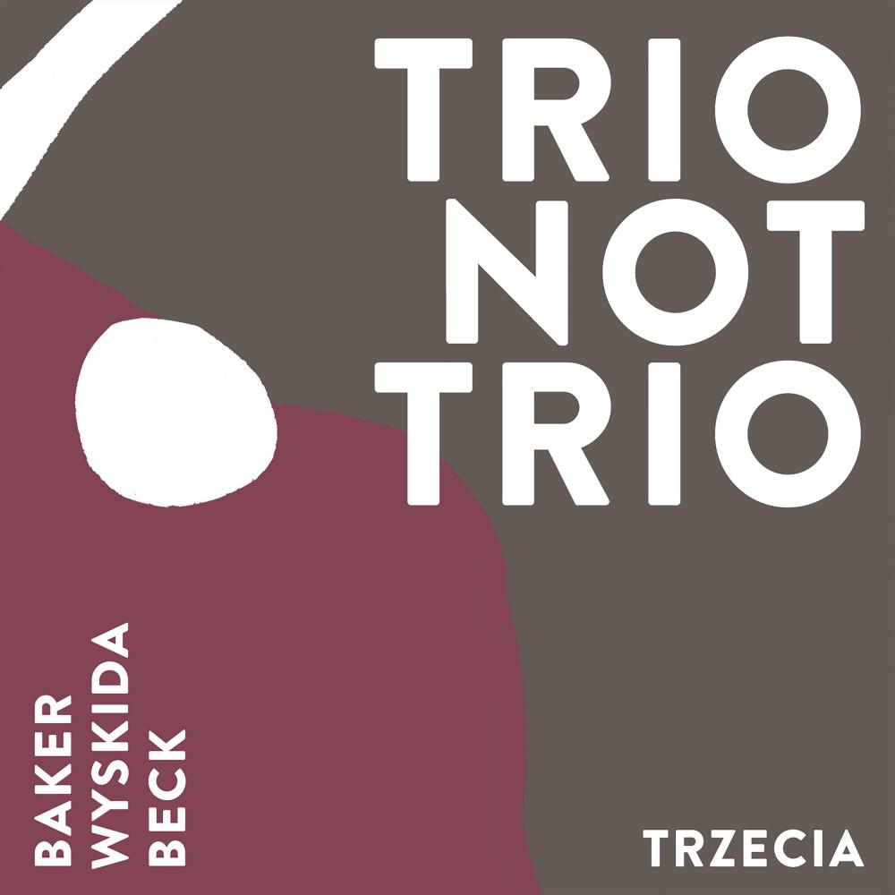 Постер альбома Trio Not Trio - Trzecia