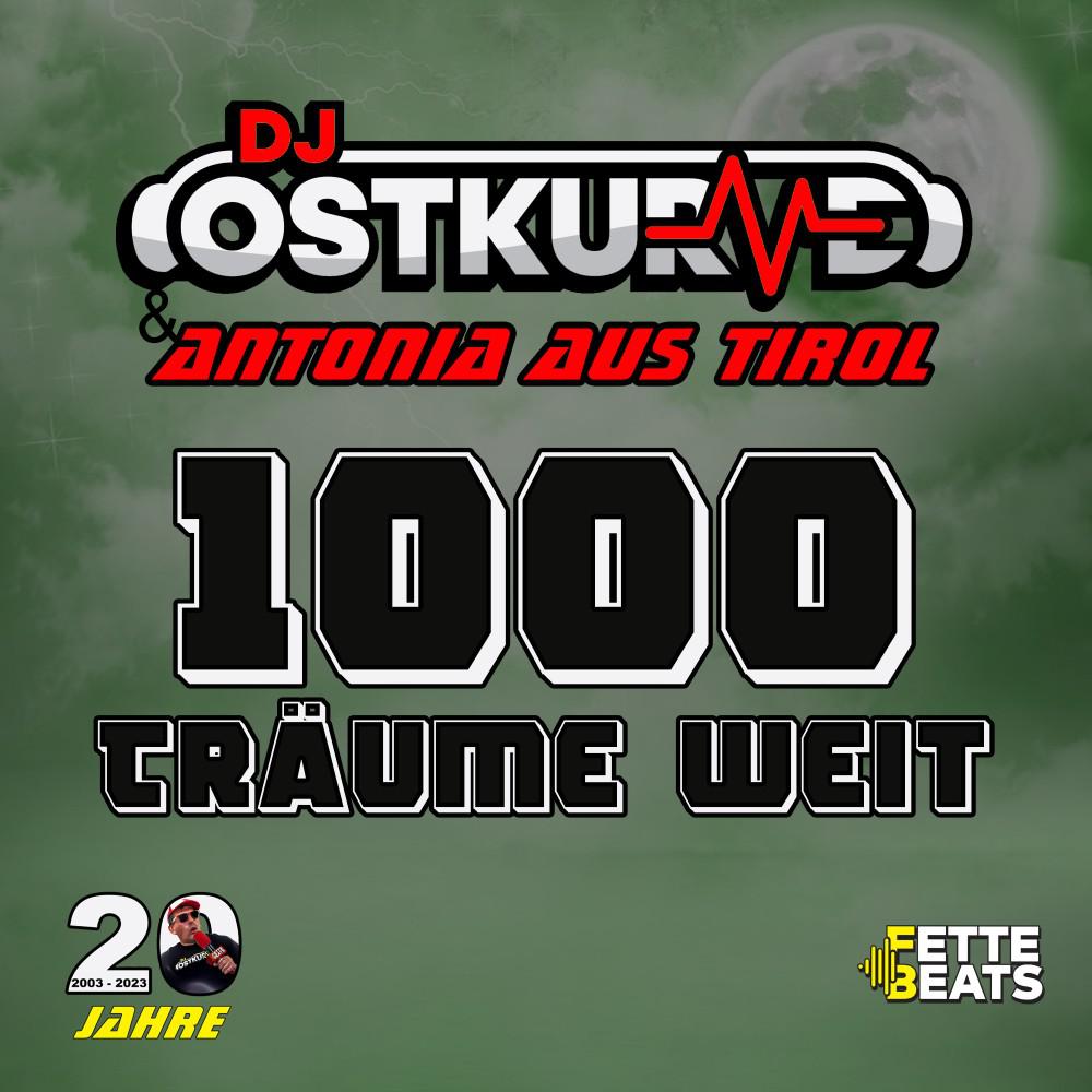 Постер альбома 1000 Träume weit