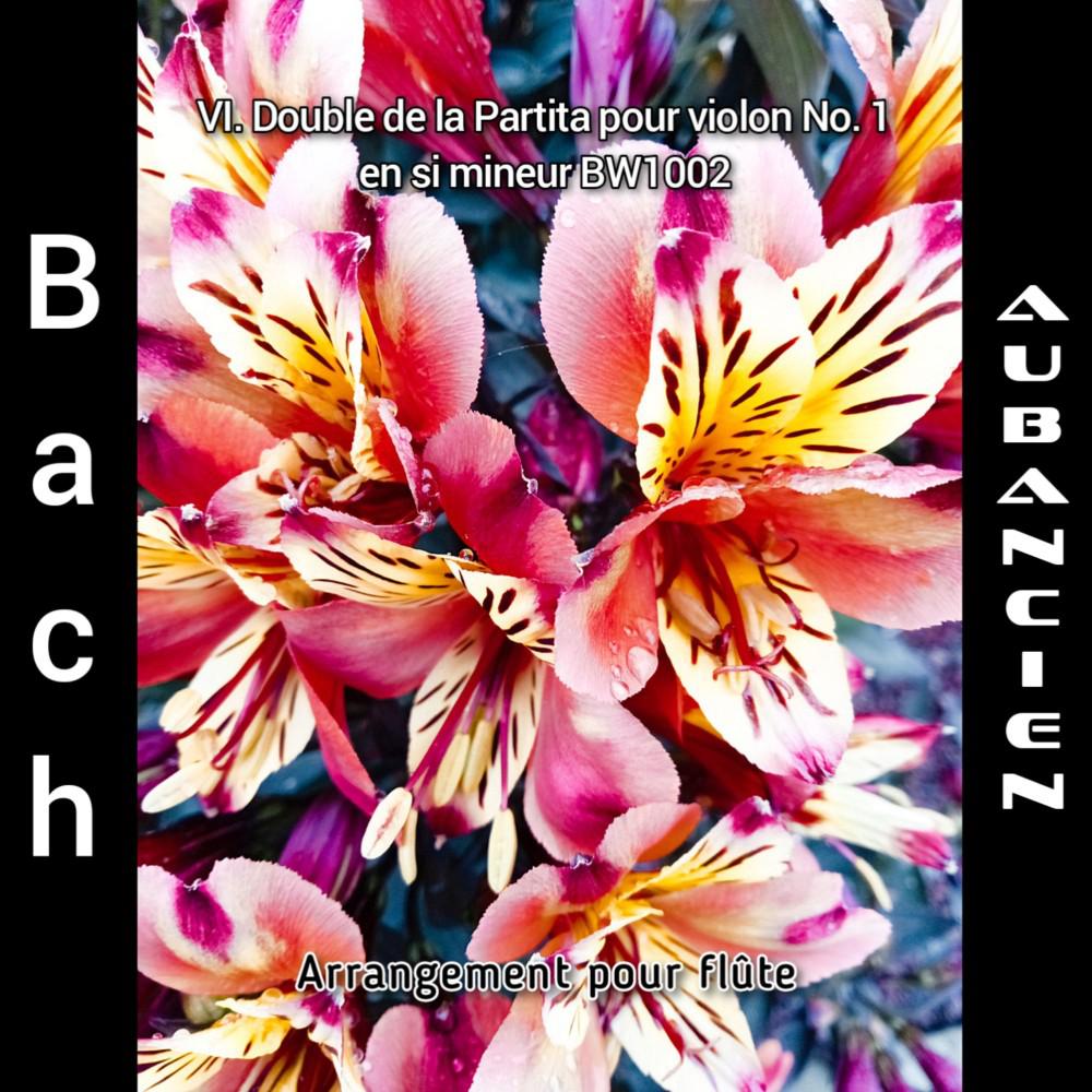 Постер альбома Bach: Vi. Double de la Partita pour violon No. 1 en si mineur BWV1002