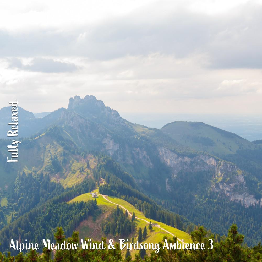 Постер альбома Fully Relaxed: Alpine Meadow Wind & Birdsong Ambience 3