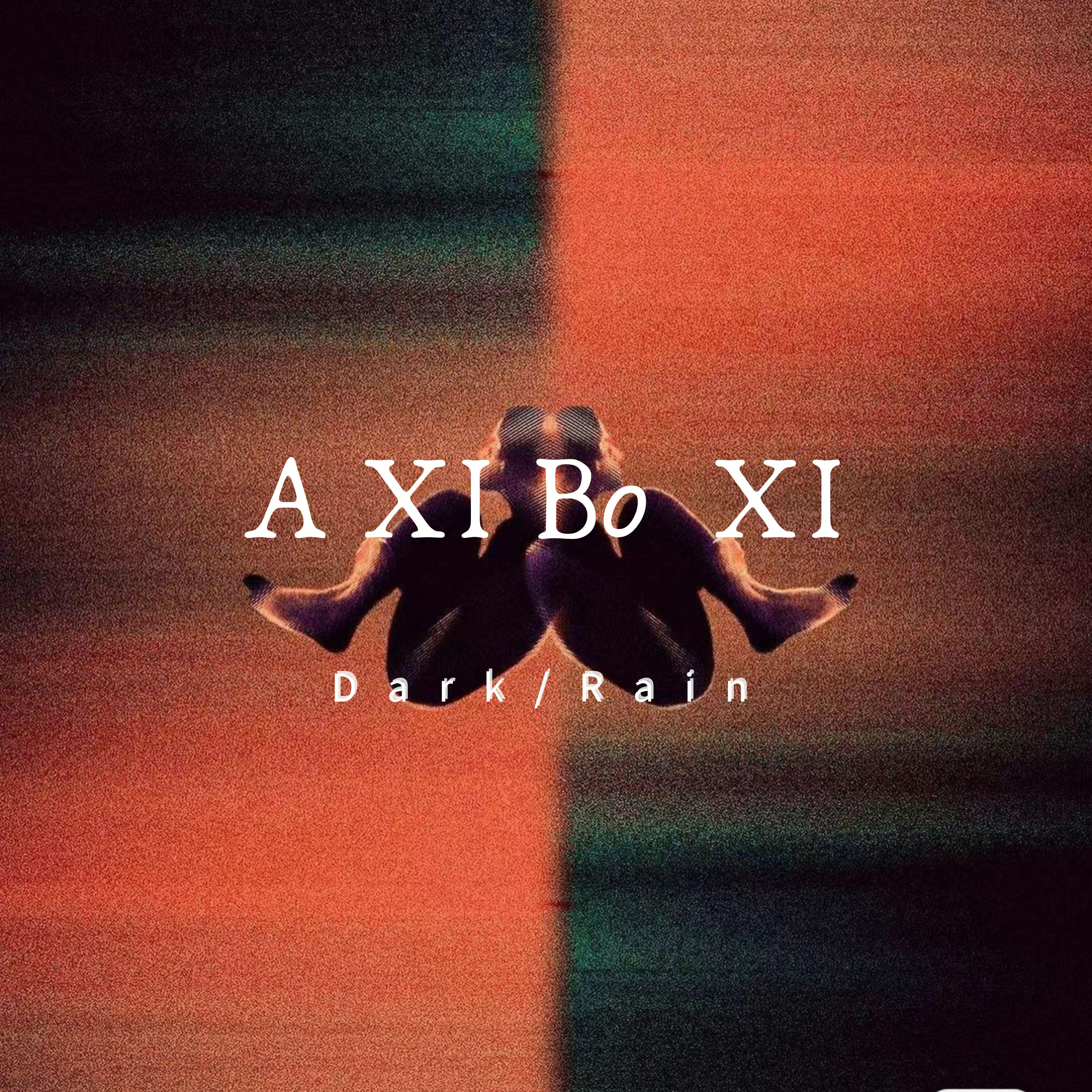 Постер альбома A XI Bo XI