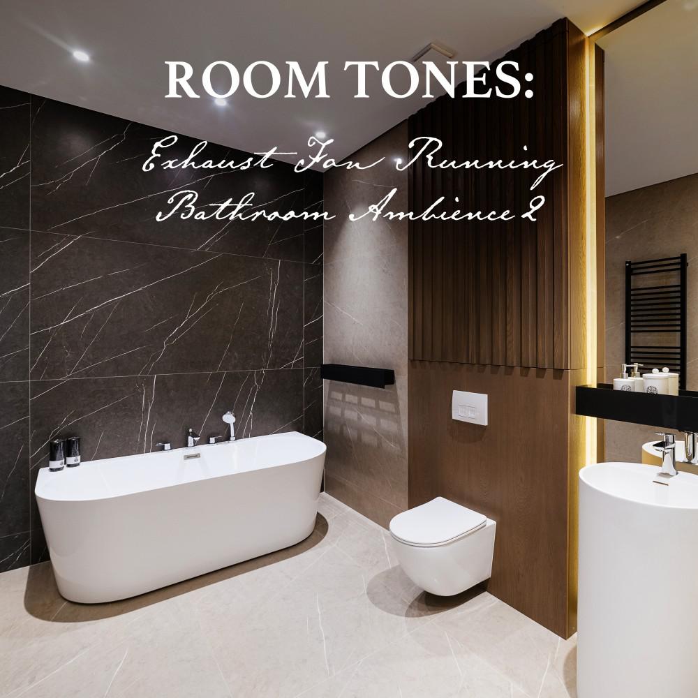 Постер альбома Room Tones: Exhaust Fan Running Bathroom Ambience 2