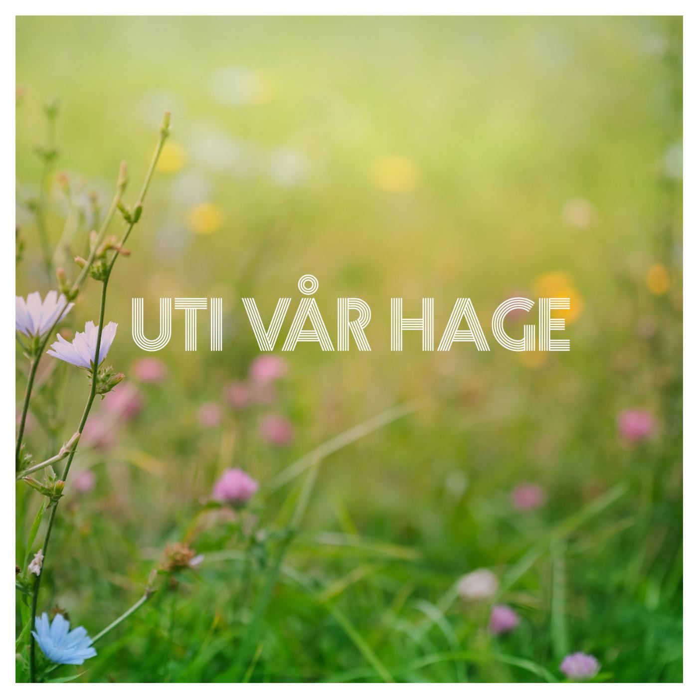 Постер альбома Uti Vår Hage