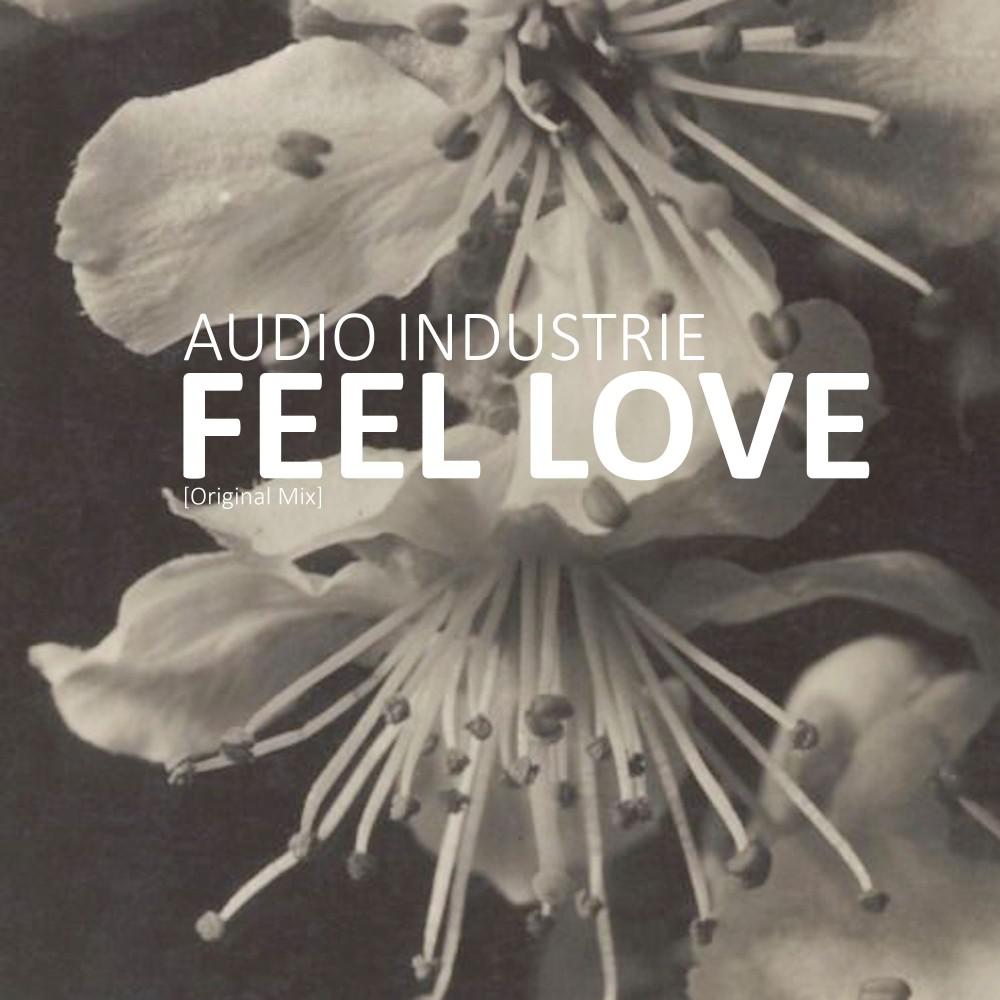Постер альбома Feel Love (Original Mix)