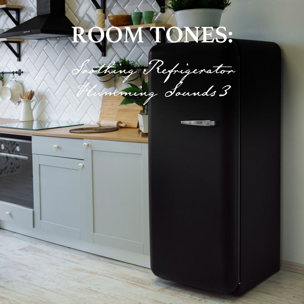 Постер альбома Room Tones: Soothing Refrigerator Humming Sounds 3