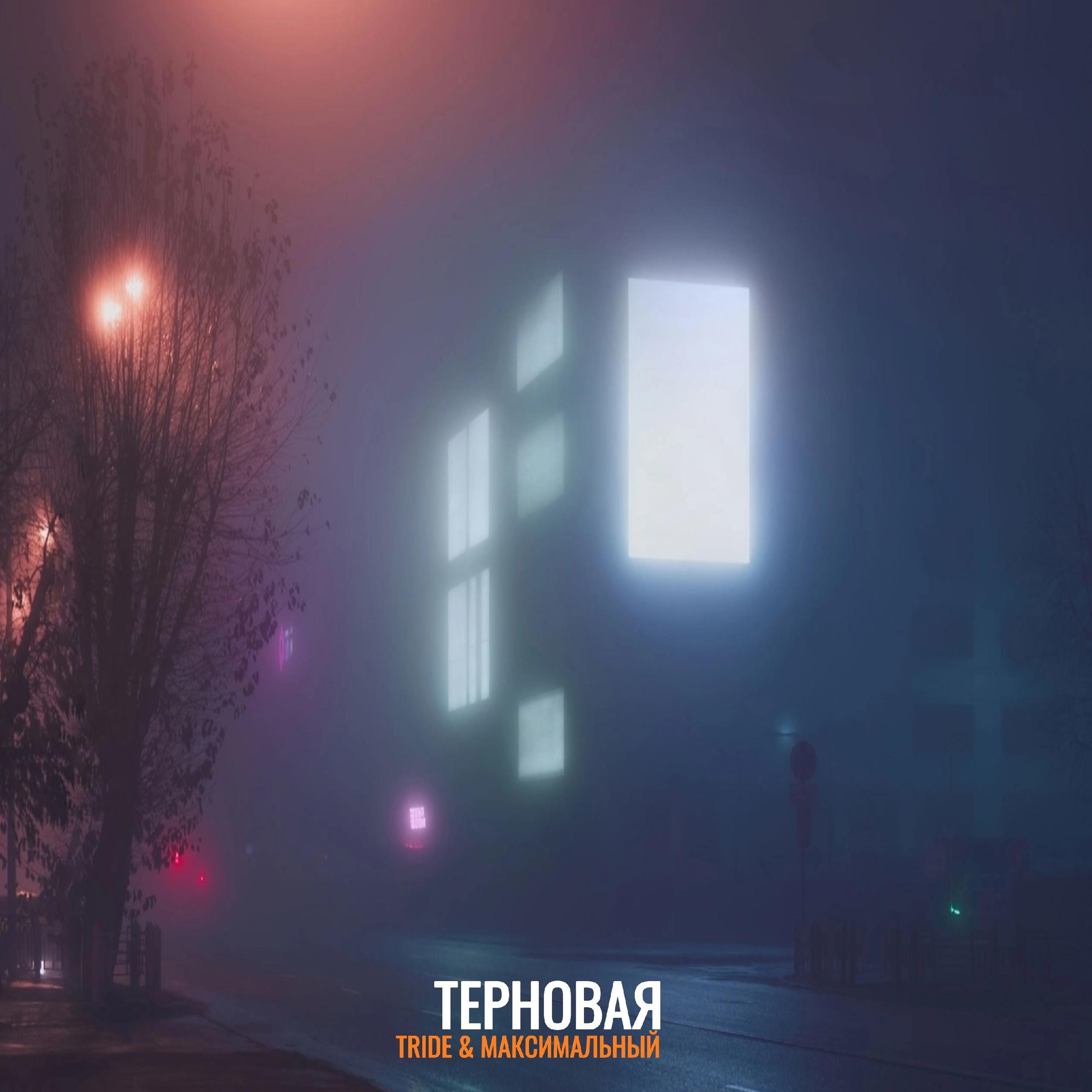 Постер альбома Терновая