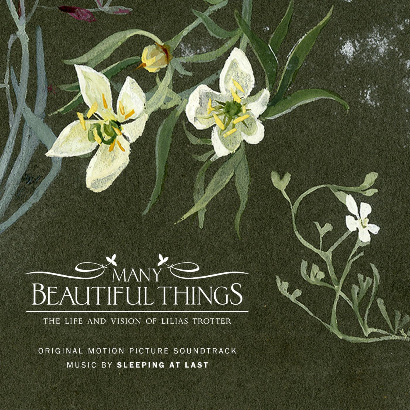 Постер альбома Many Beautiful Things (Original Motion Picture Soundtrack)