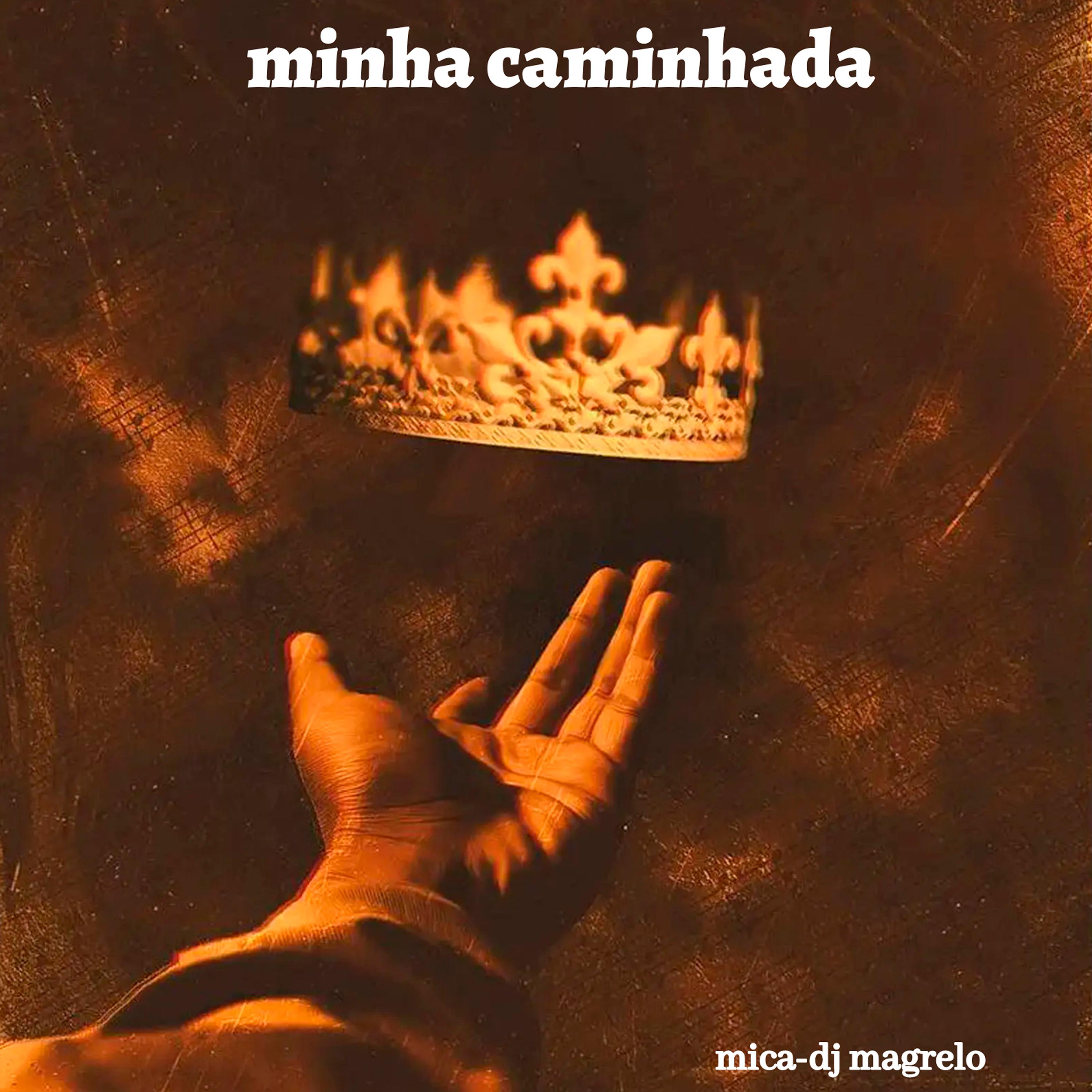Постер альбома Minha Caminhada